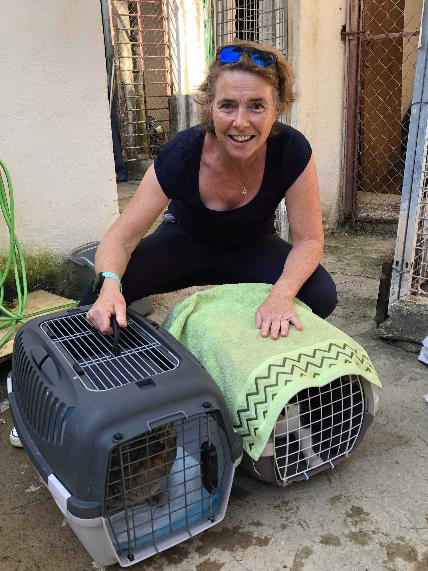 Shelter Visit 23/2/2019