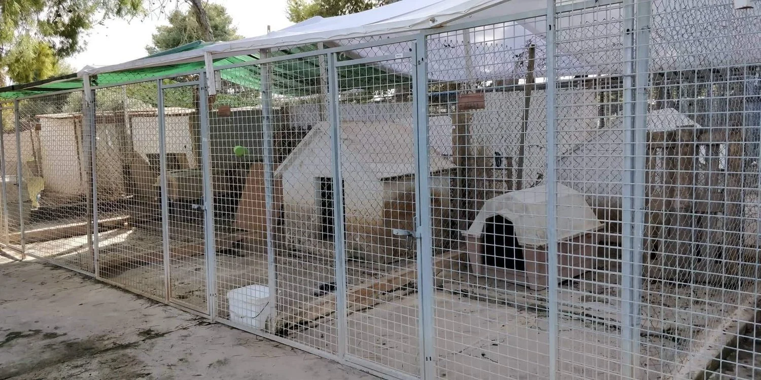 Shelter Visit 2/2/2019