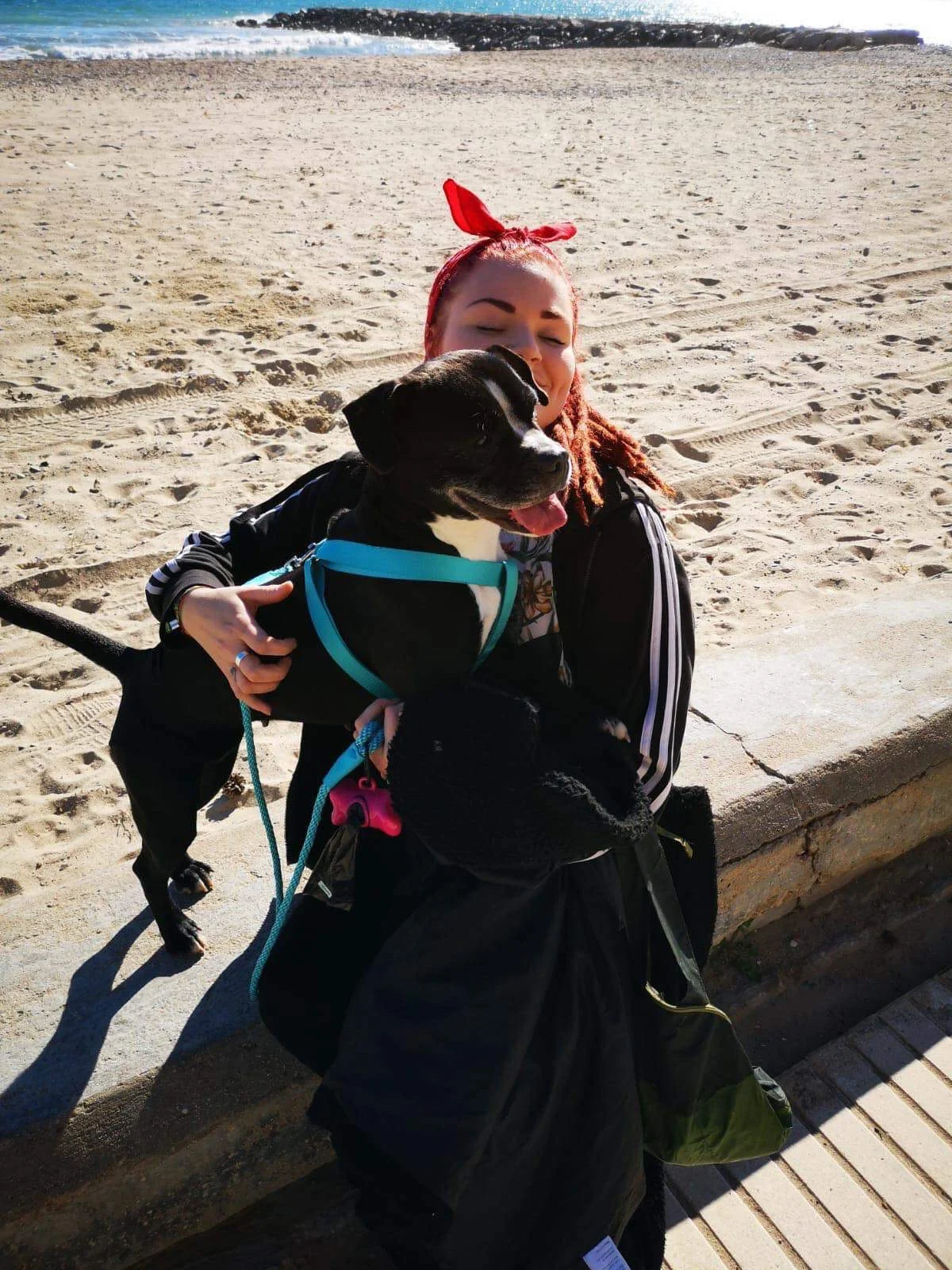 Shelter Visit 26/01/2019