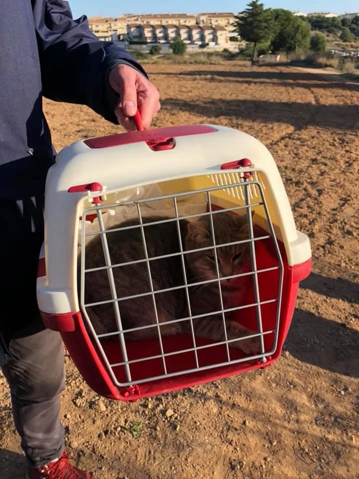 Shelter Visit 5/1/2019