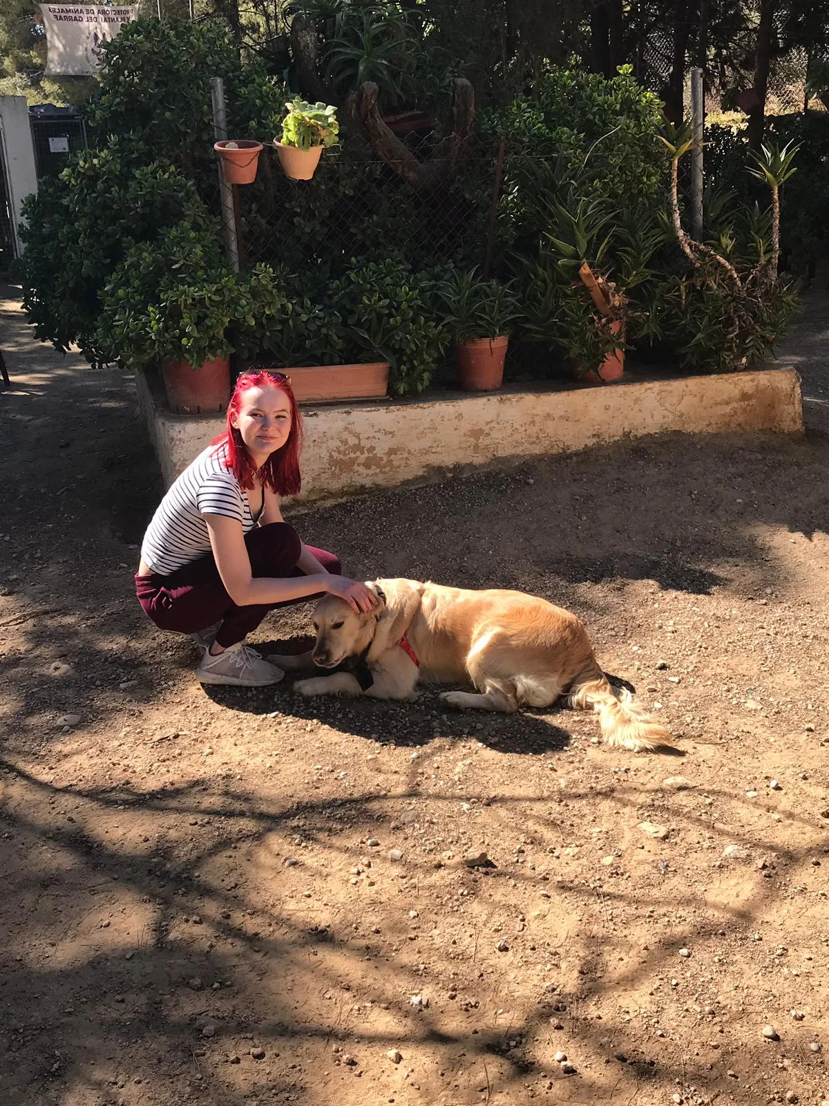 Shelter Visit 9/3/2019