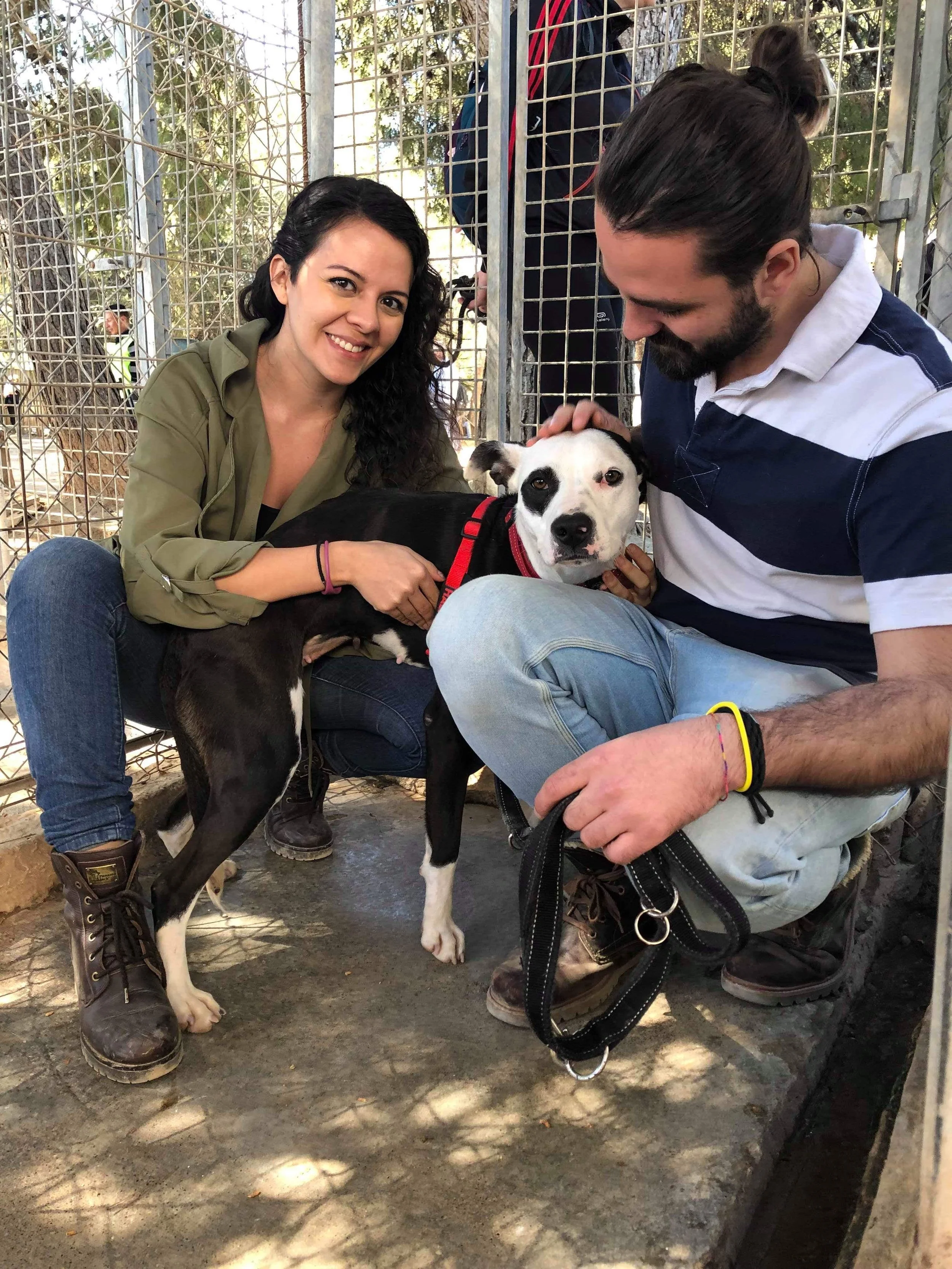 Shelter Visit 16/03/2019