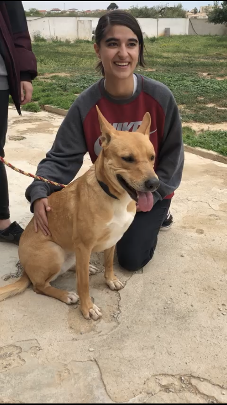 Weekend Update 21/4/2019