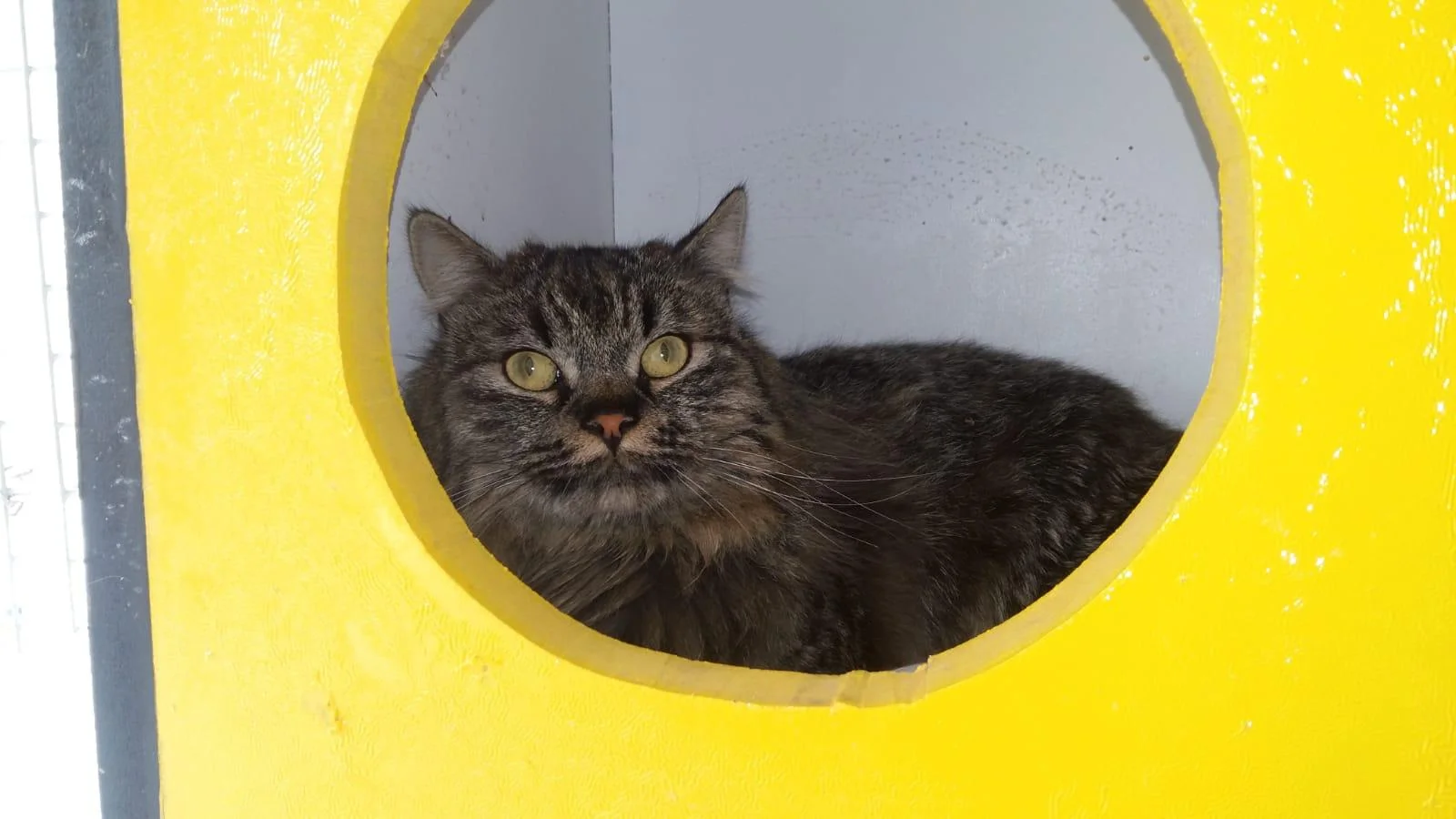 WhatsApp Image 2019-04-19 at 14.28.42.jpeg