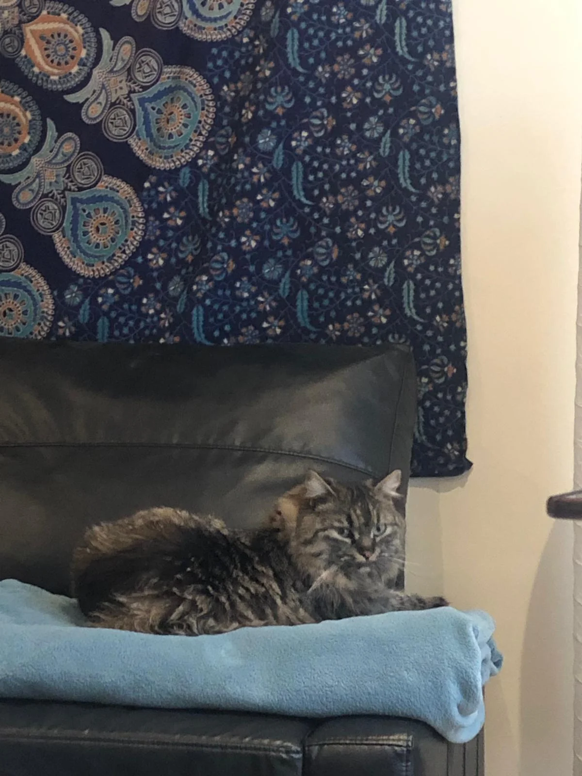 WhatsApp Image 2019-04-20 at 16.00.36.jpeg