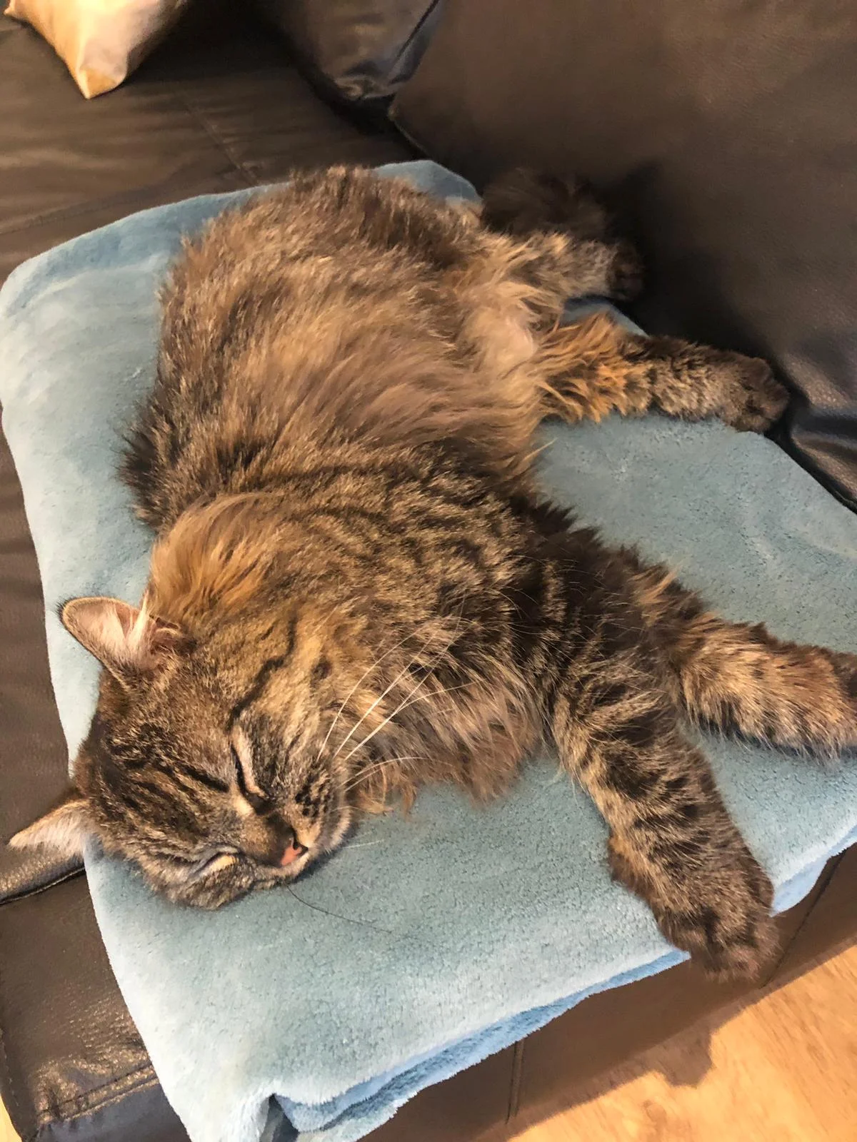 WhatsApp Image 2019-04-20 at 16.07.07.jpeg