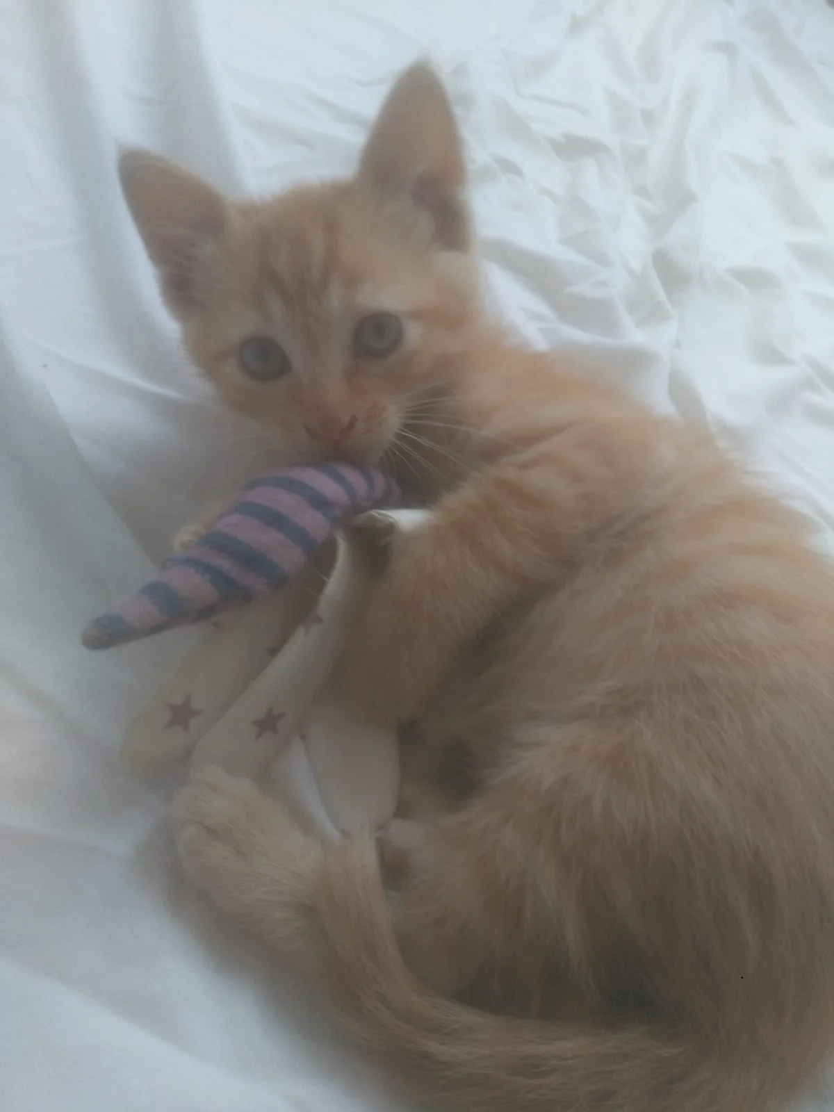 WhatsApp Image 2019-05-21 at 18.36.29(1).jpeg