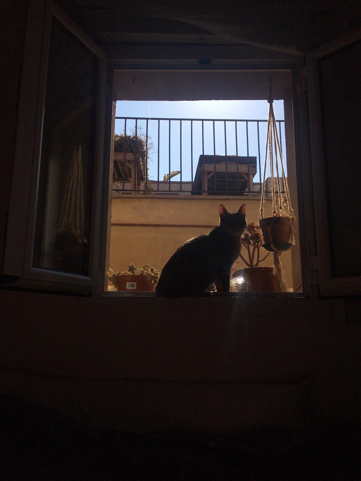 WhatsApp Image 2020-05-06 at 13.47.47 (1).jpeg