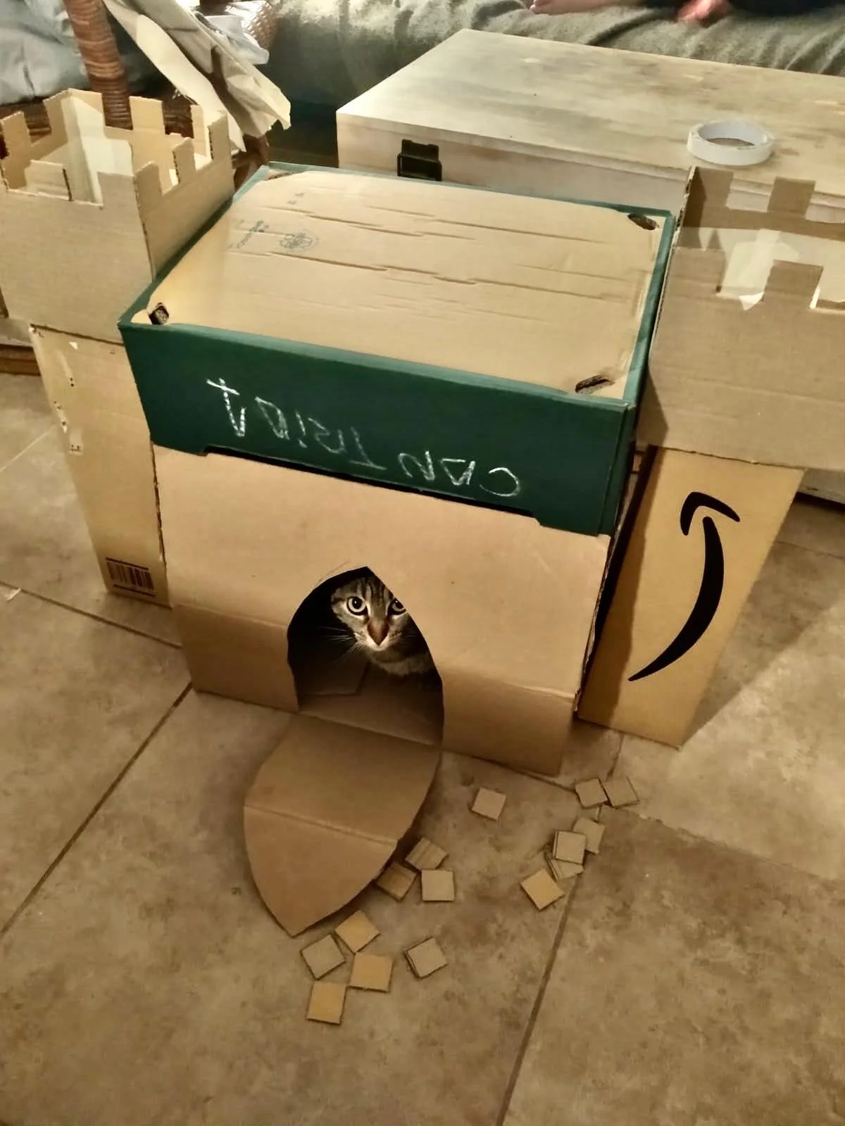 WhatsApp Image 2020-05-06 at 13.47.47.jpeg