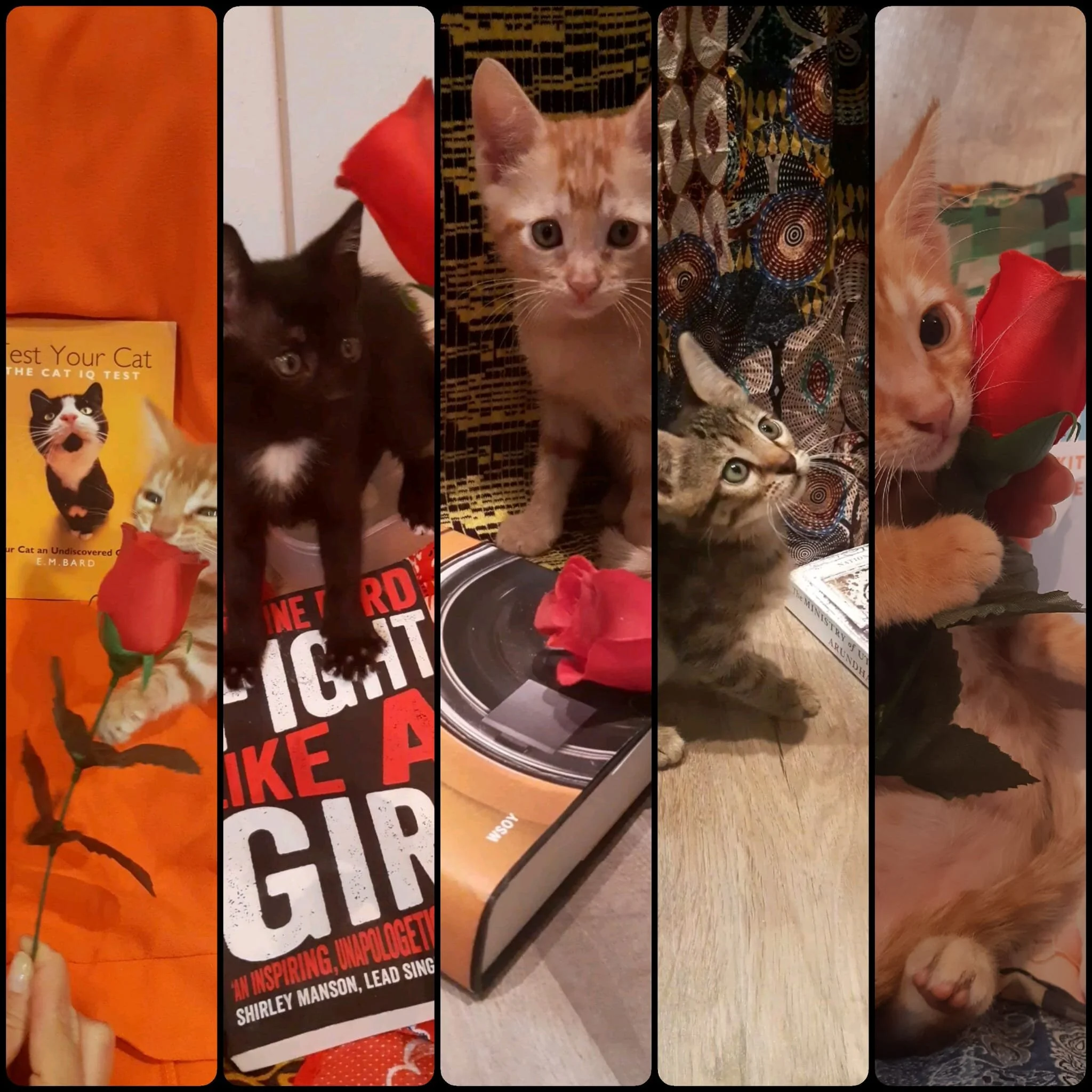 WhatsApp Image 2020-07-04 at 14.55.10.jpeg