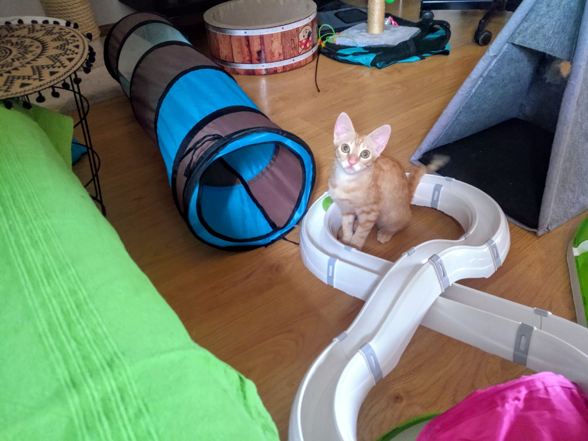 d5e6f675-373a-468f-b9d2-d10337a0d5e8.jpeg