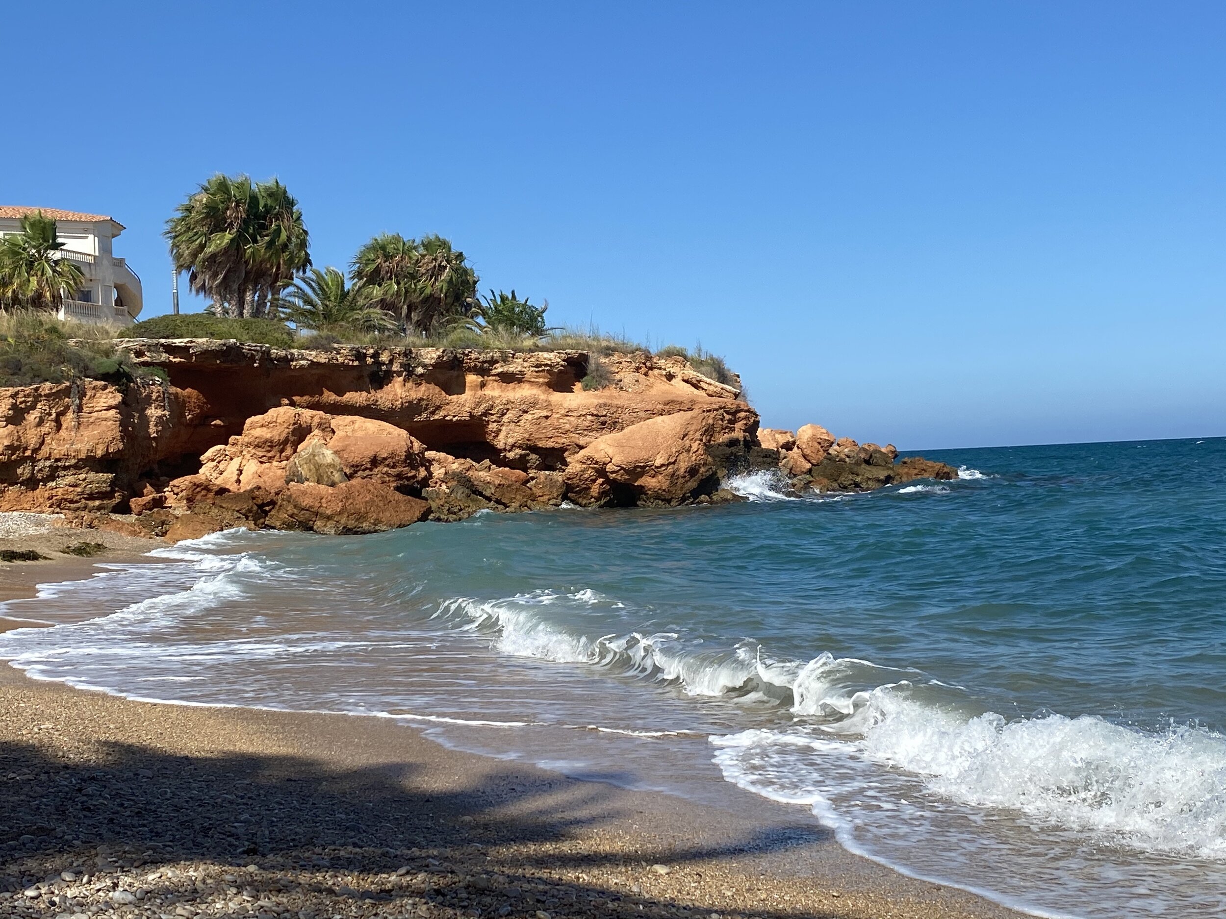 Weekend at the beach raffle for TNR!