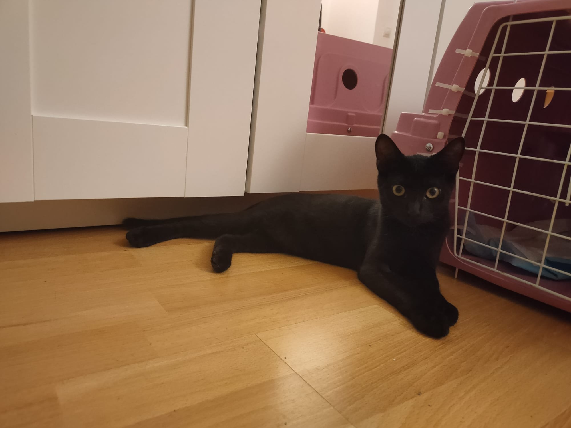Salem 2.jpeg