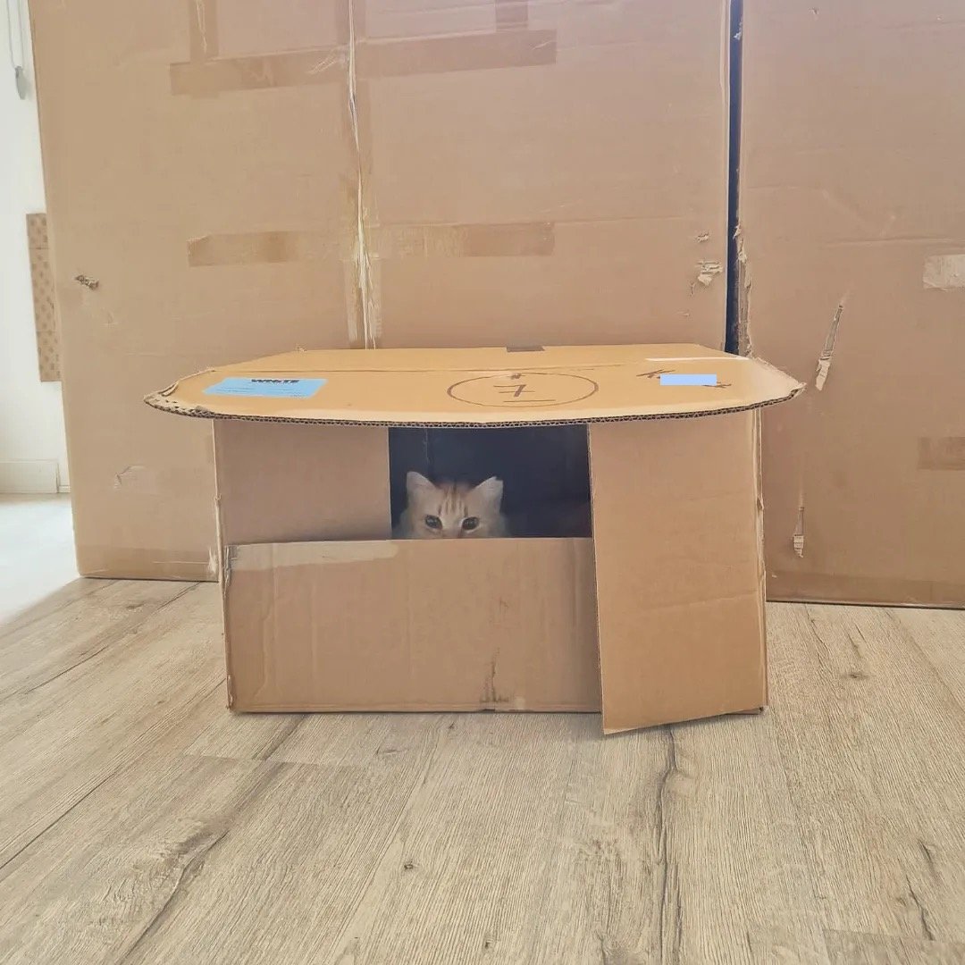 enricbox24.jpg