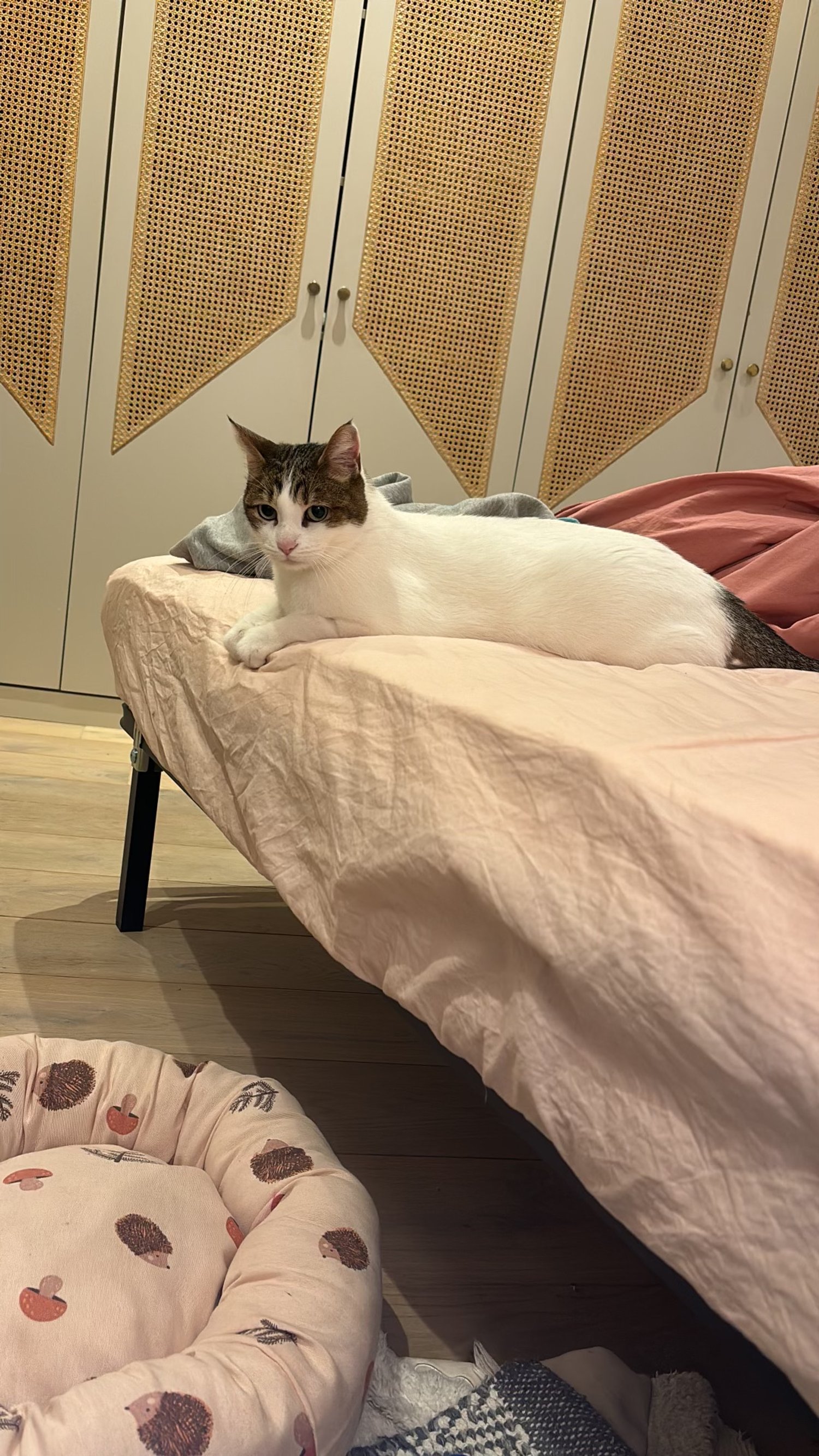 IMG_6910 2.jpeg