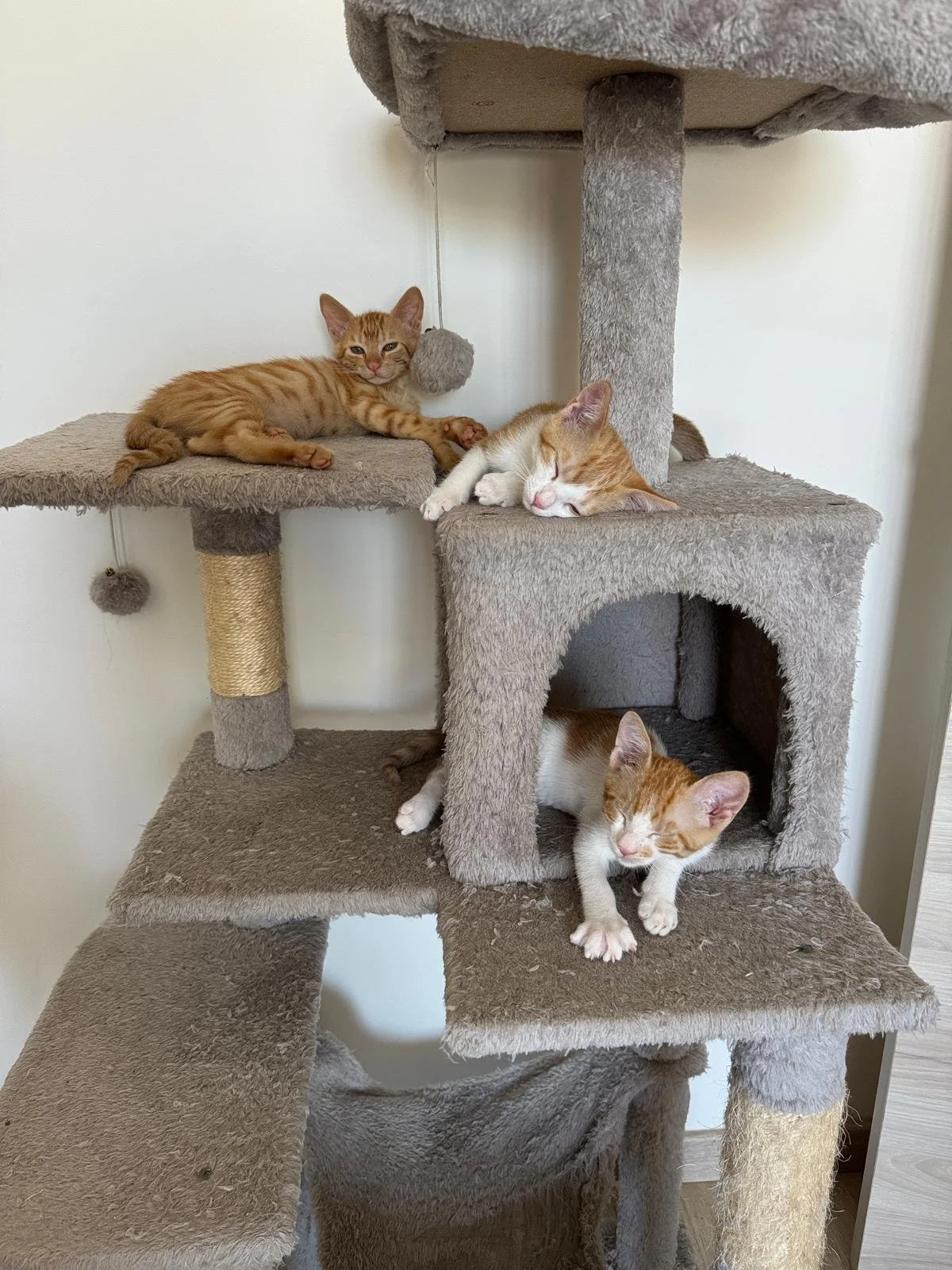 WhatsApp Image 2024-07-10 at 18.09.52 (1).jpeg