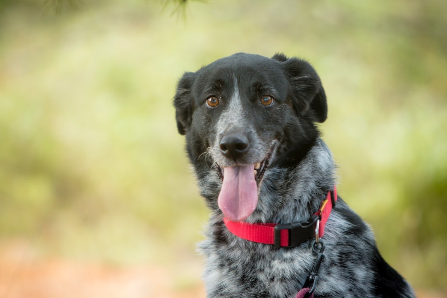 Tura in foster home