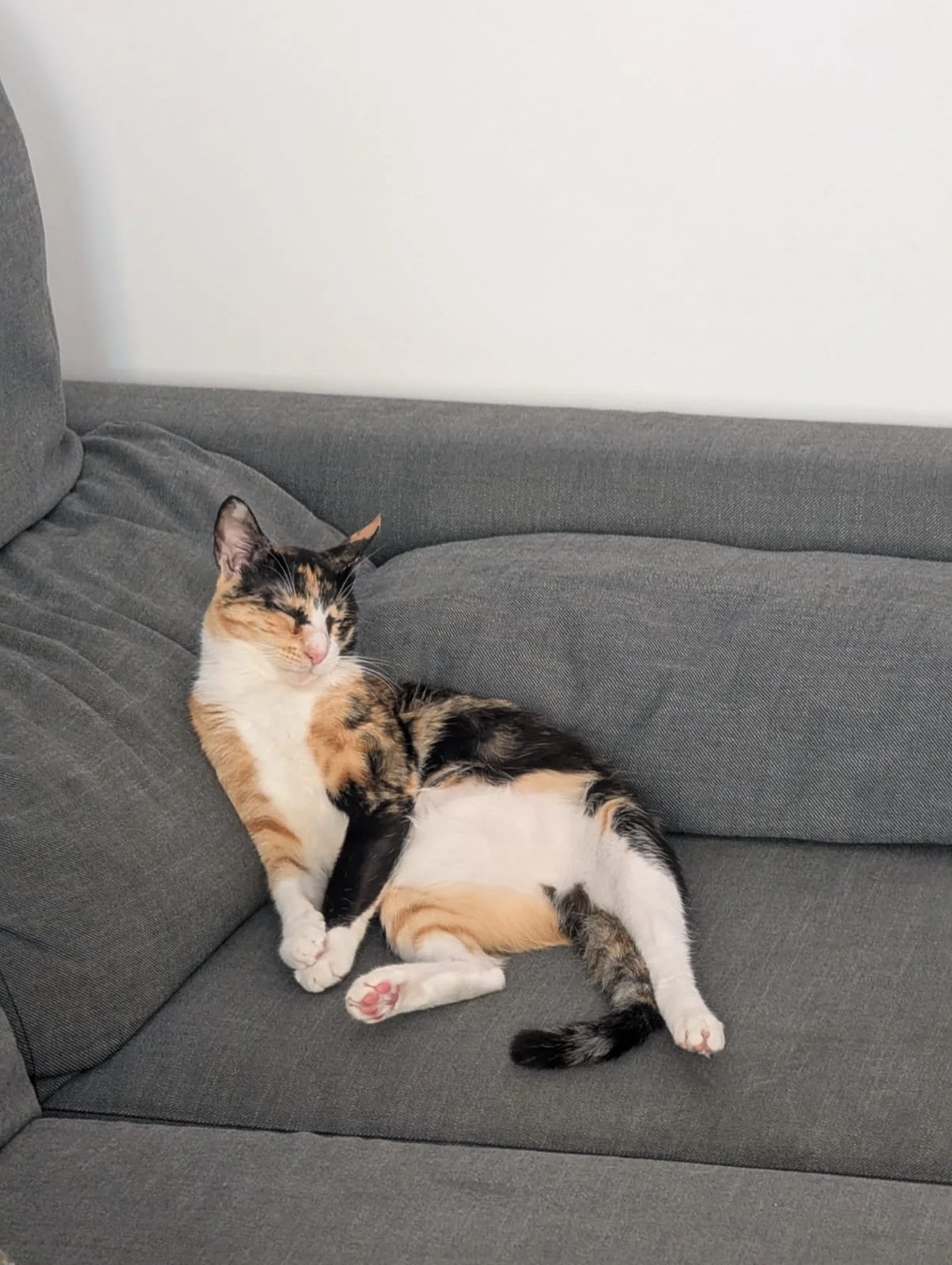 WhatsApp Image 2026-01-18 at 00.07.44 (1).jpeg