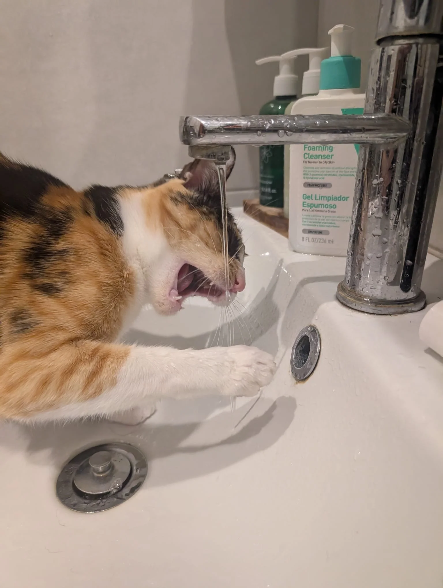 WhatsApp Image 2026-01-18 at 00.07.44.jpeg