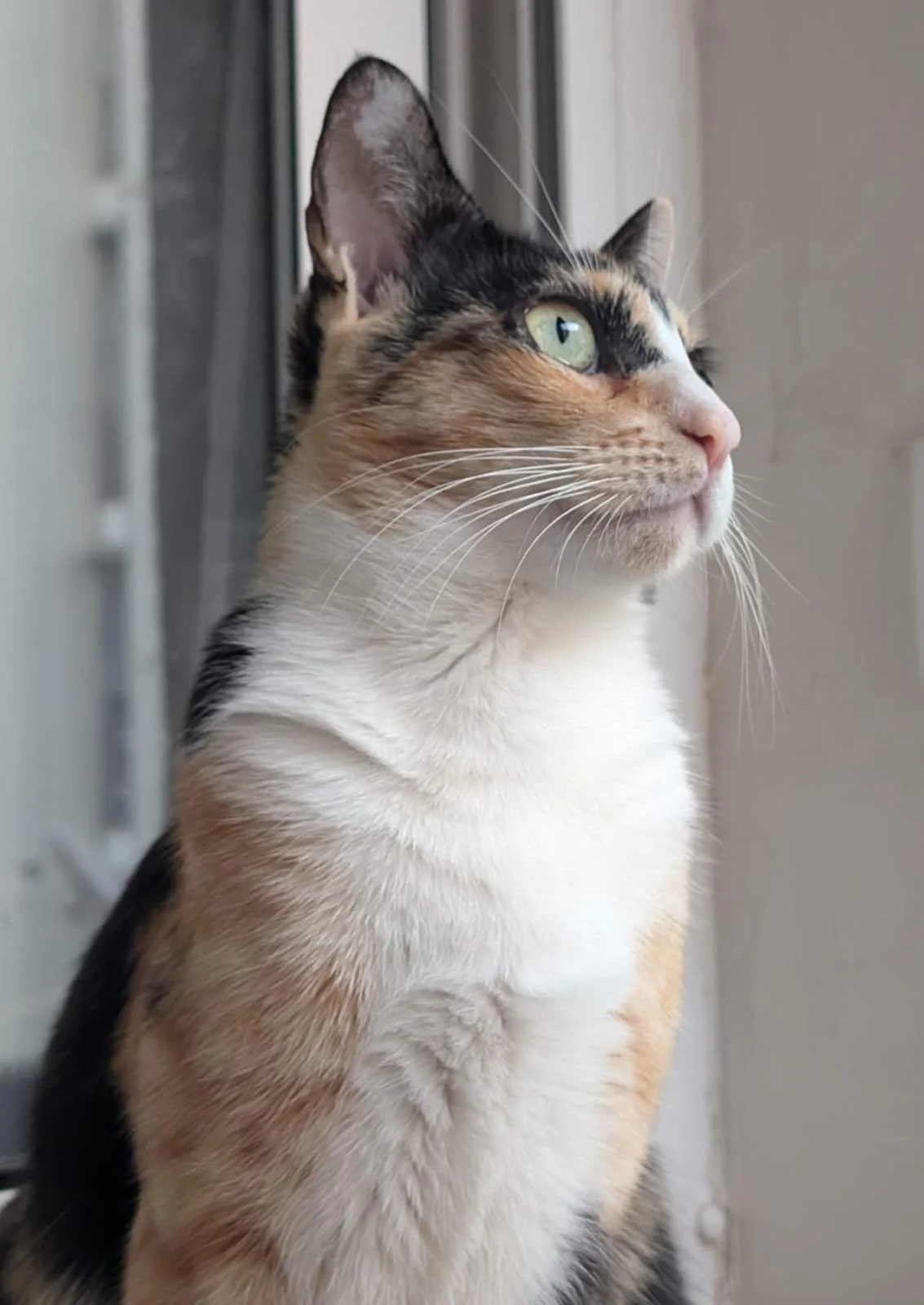 WhatsApp Image 2026-01-18 at 00.08.05.jpeg