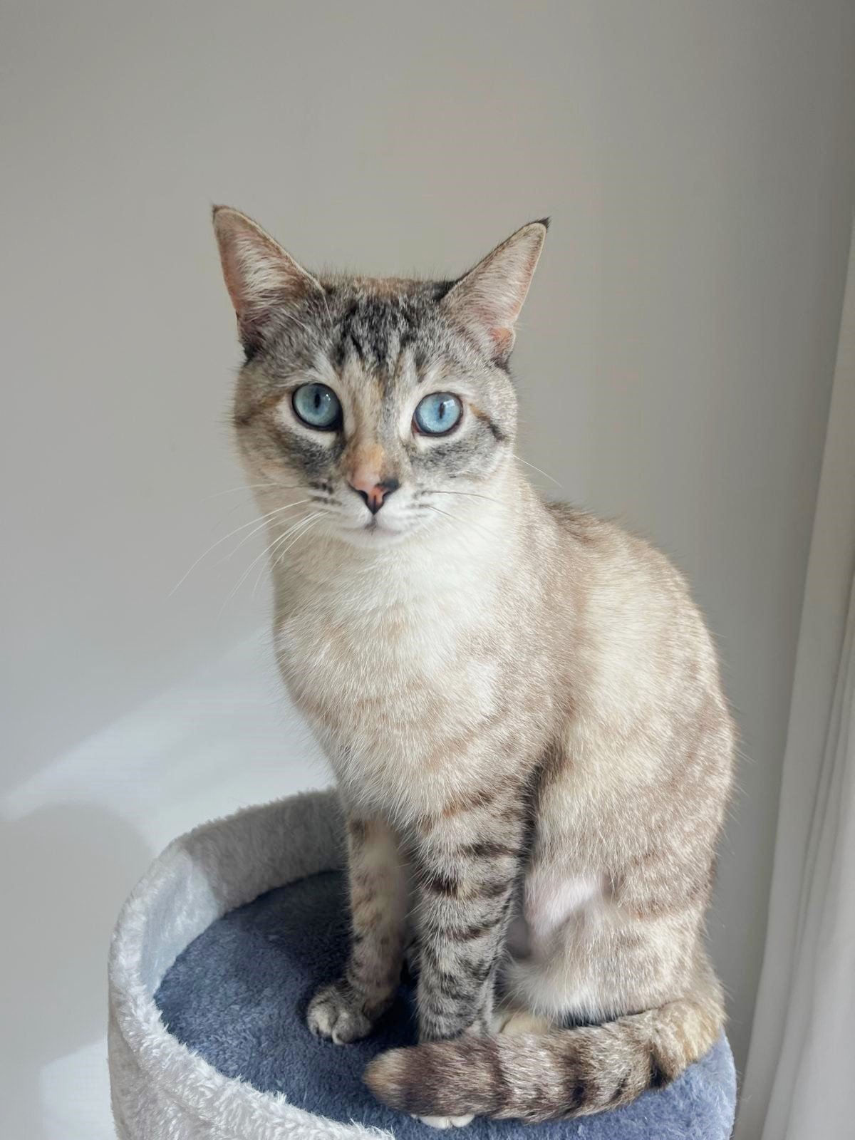 PHOTO-2025-03-24-19-54-37 (2) (1).jpg