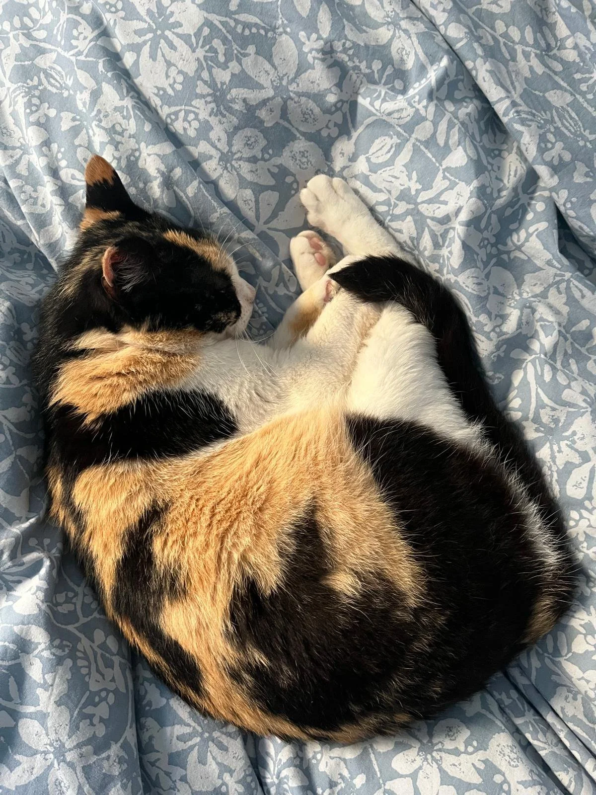 PHOTO-2026-03-22-21-32-11 (2) (1).jpg