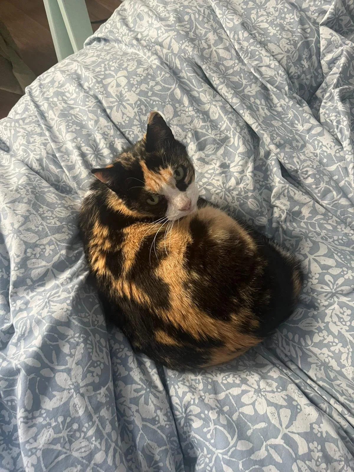 PHOTO-2026-03-22-21-32-11 (2).jpg