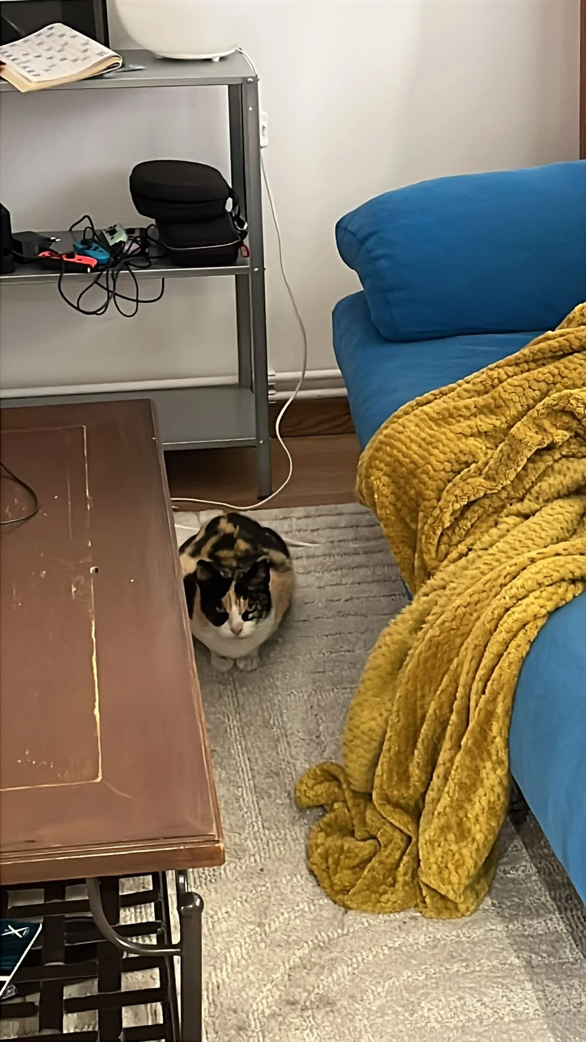 PHOTO-2026-03-13-18-29-43 (1).jpg