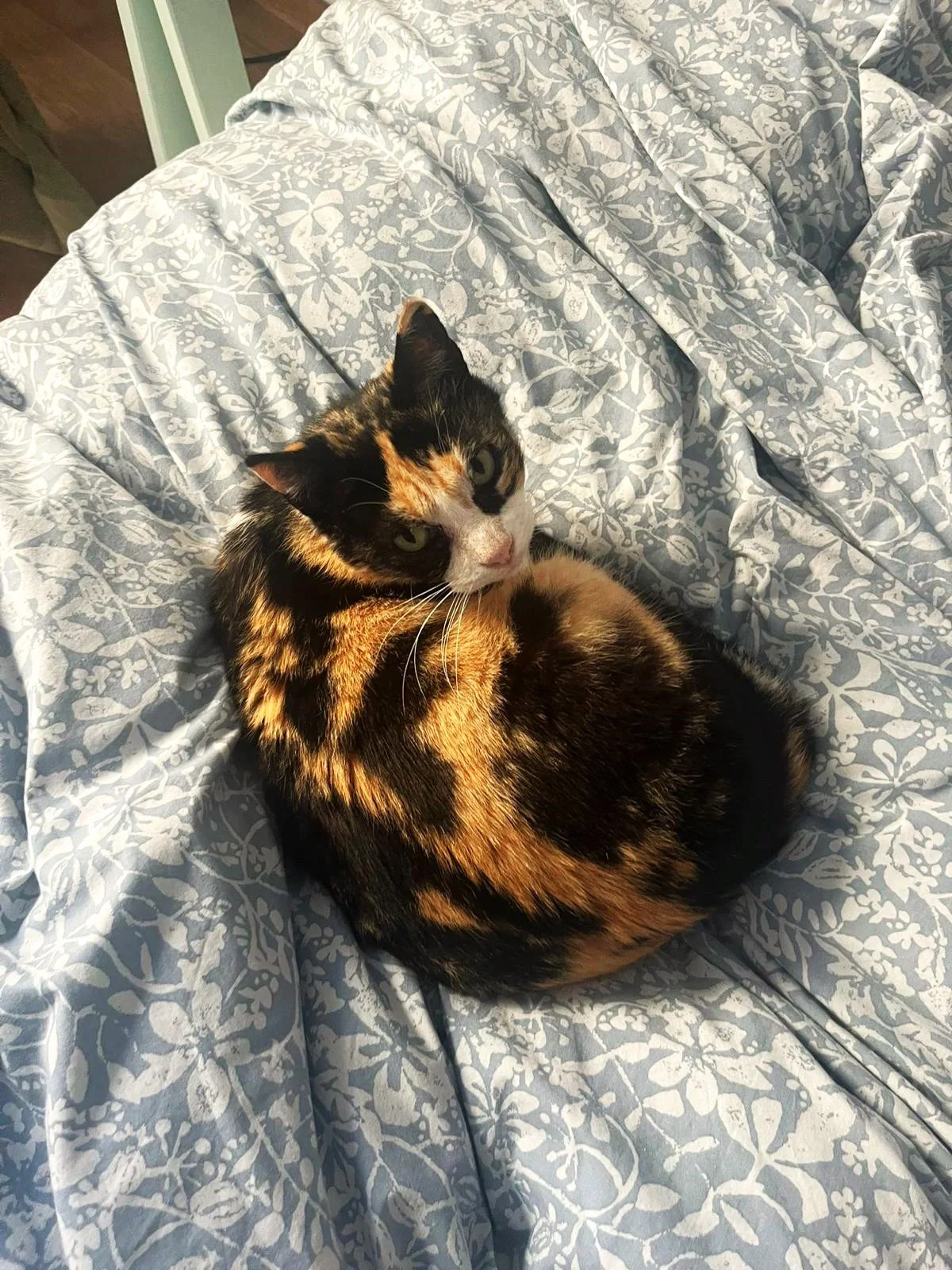 WhatsApp Image 2026-03-22 at 21.32.11.jpeg