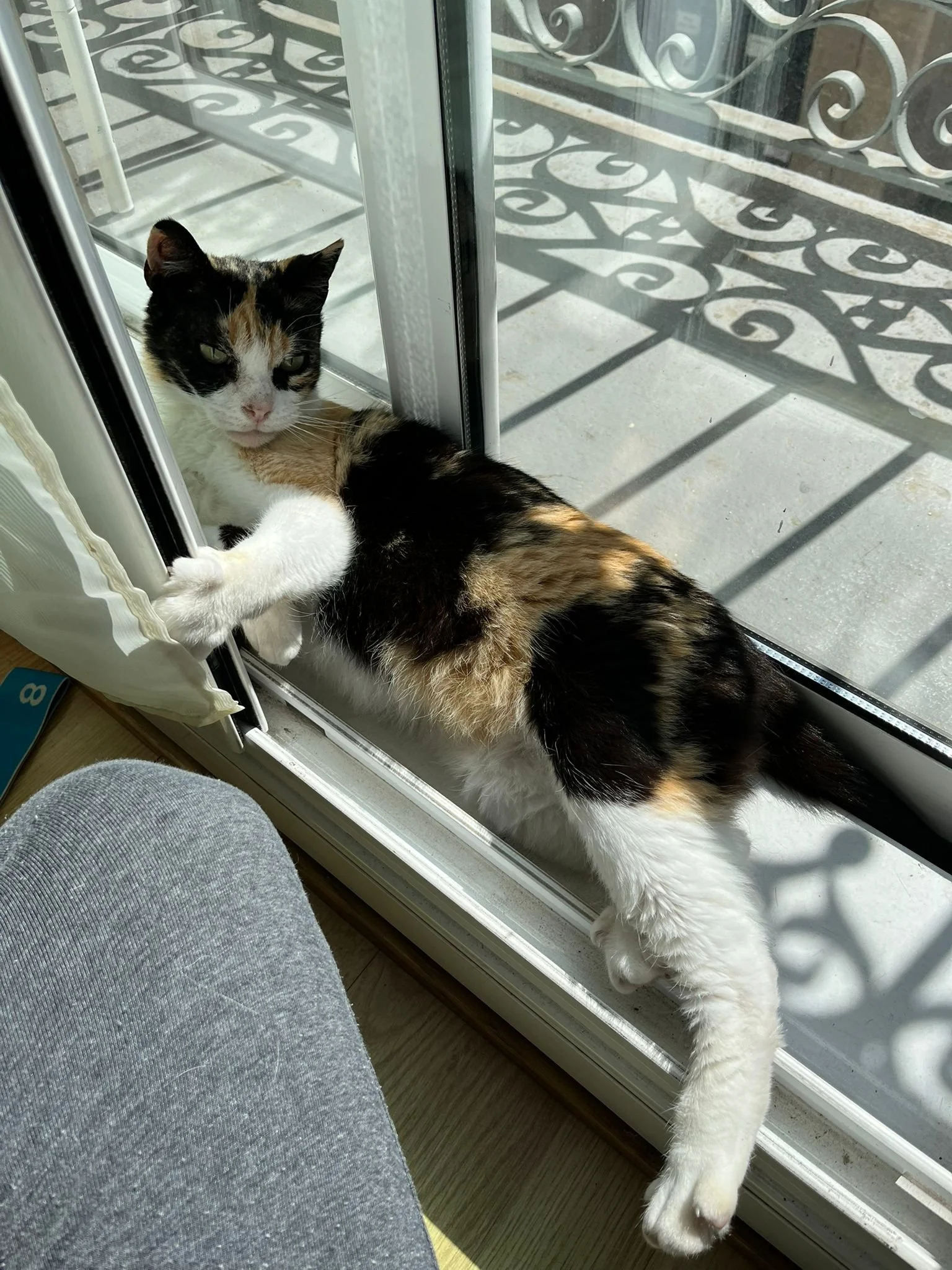 WhatsApp Image 2026-04-02 at 23.39.00.jpeg