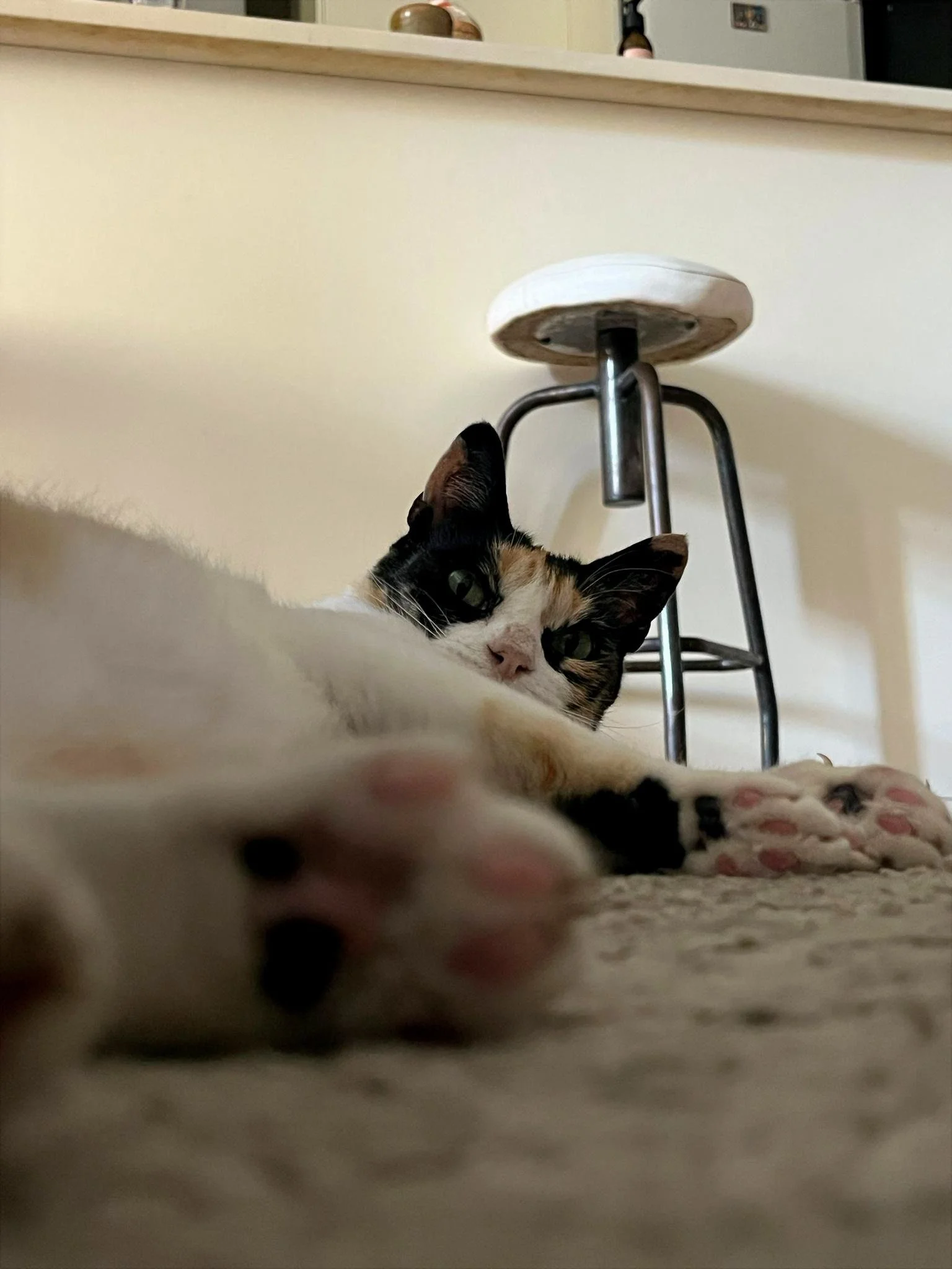 78a35220-1941-4fc1-b933-6be2faa4c727.JPG