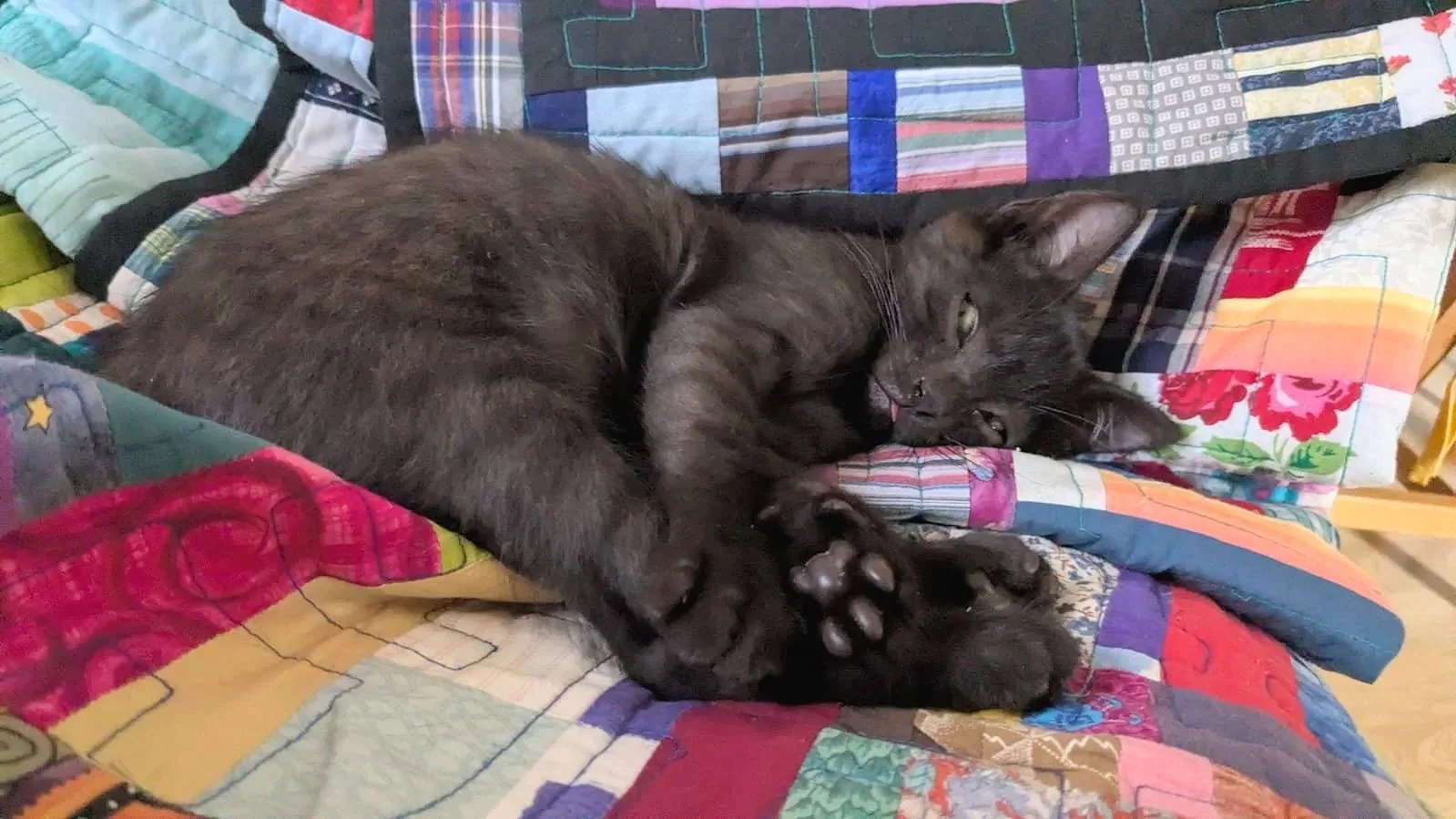 BrynSnoozing.jpg