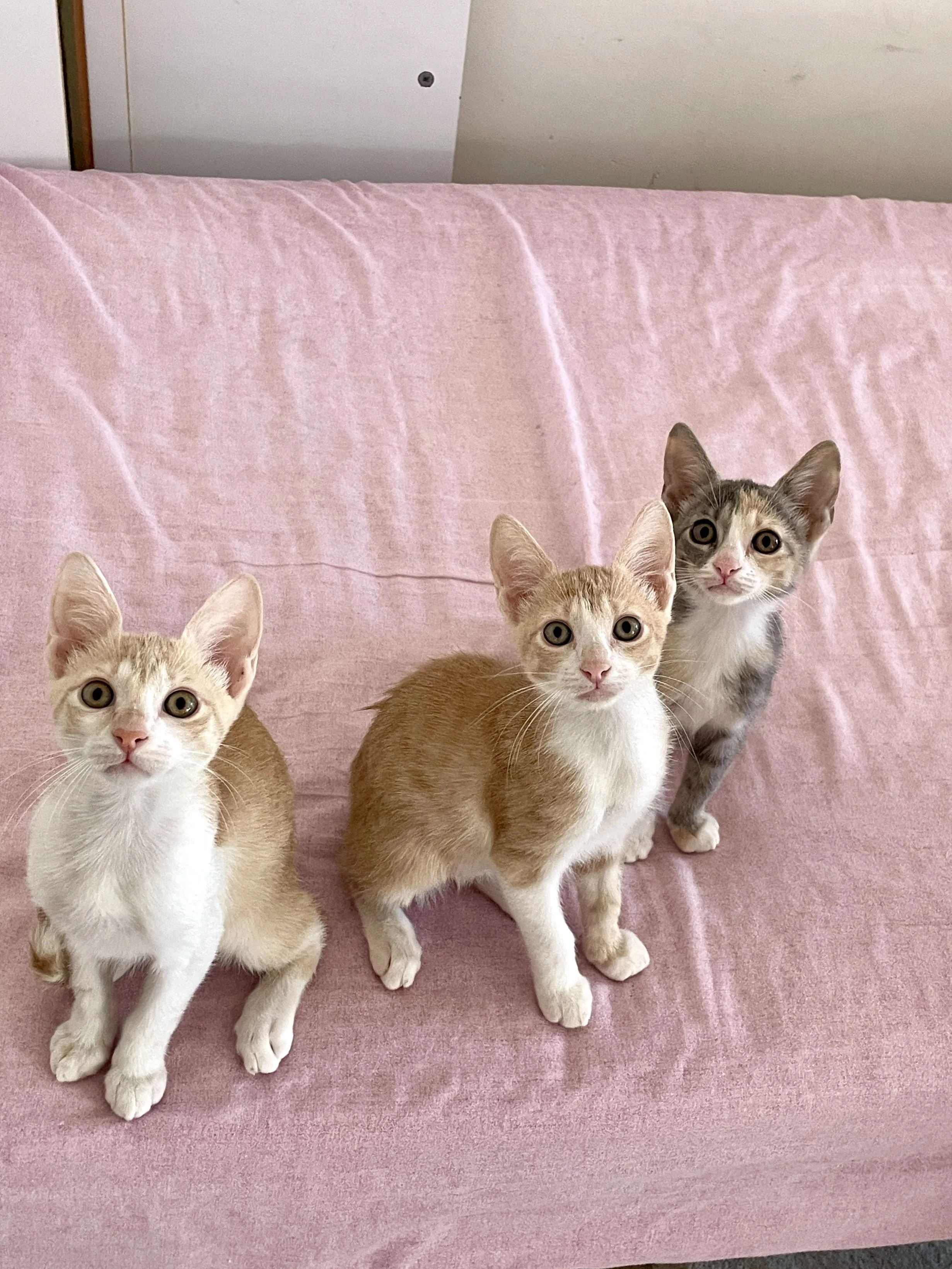 IMG_3048.jpg