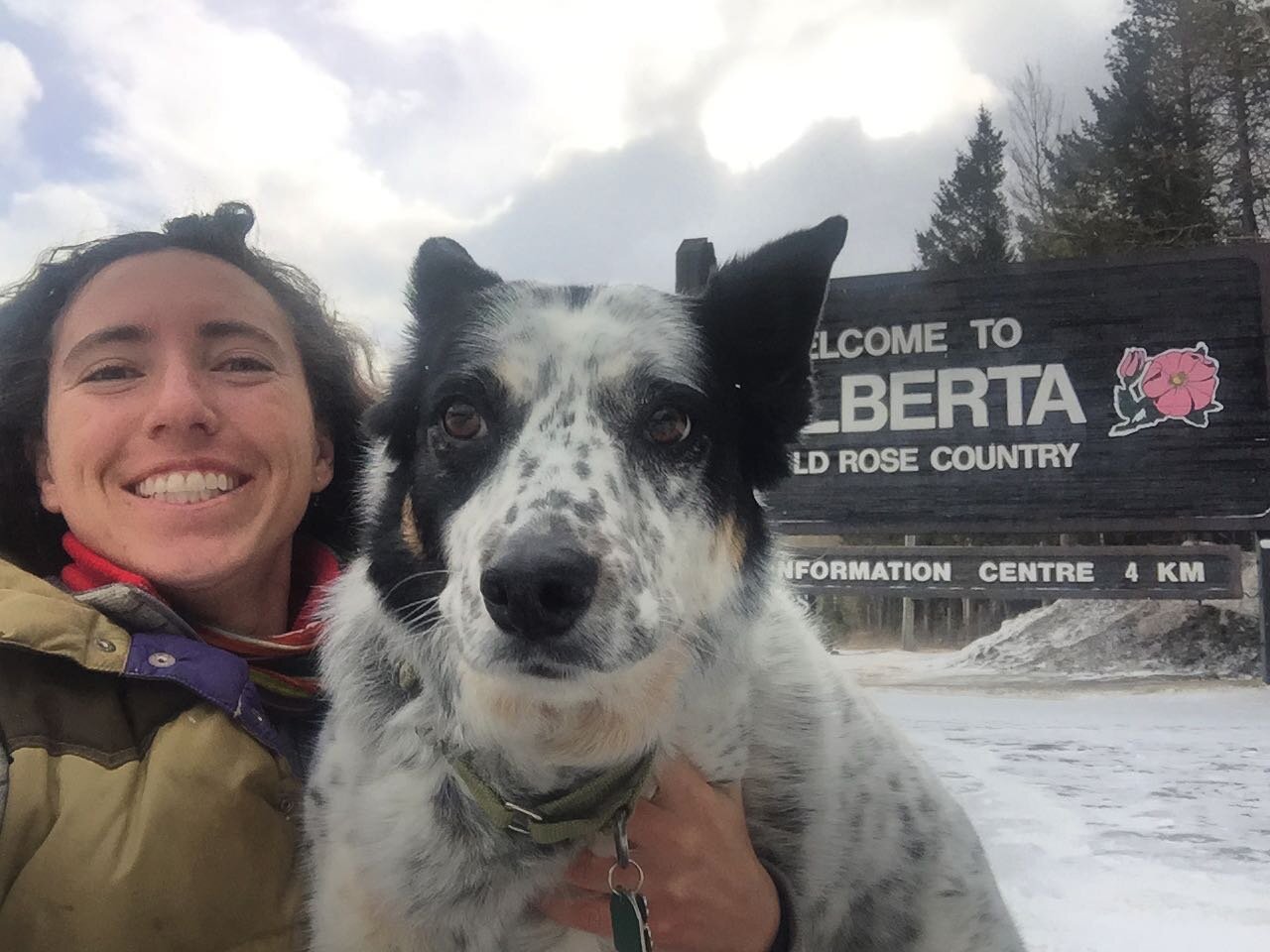 Happy Canada Day, eh! 🇨🇦 

#tbt to Betsy the Wonder Dog&rsquo;s last trip to Alberta 🌸 I sure miss my family. 

#WildRoseCountry #CanadaDay #Eh #BetsyTheWonderDog #Canadian #July1st