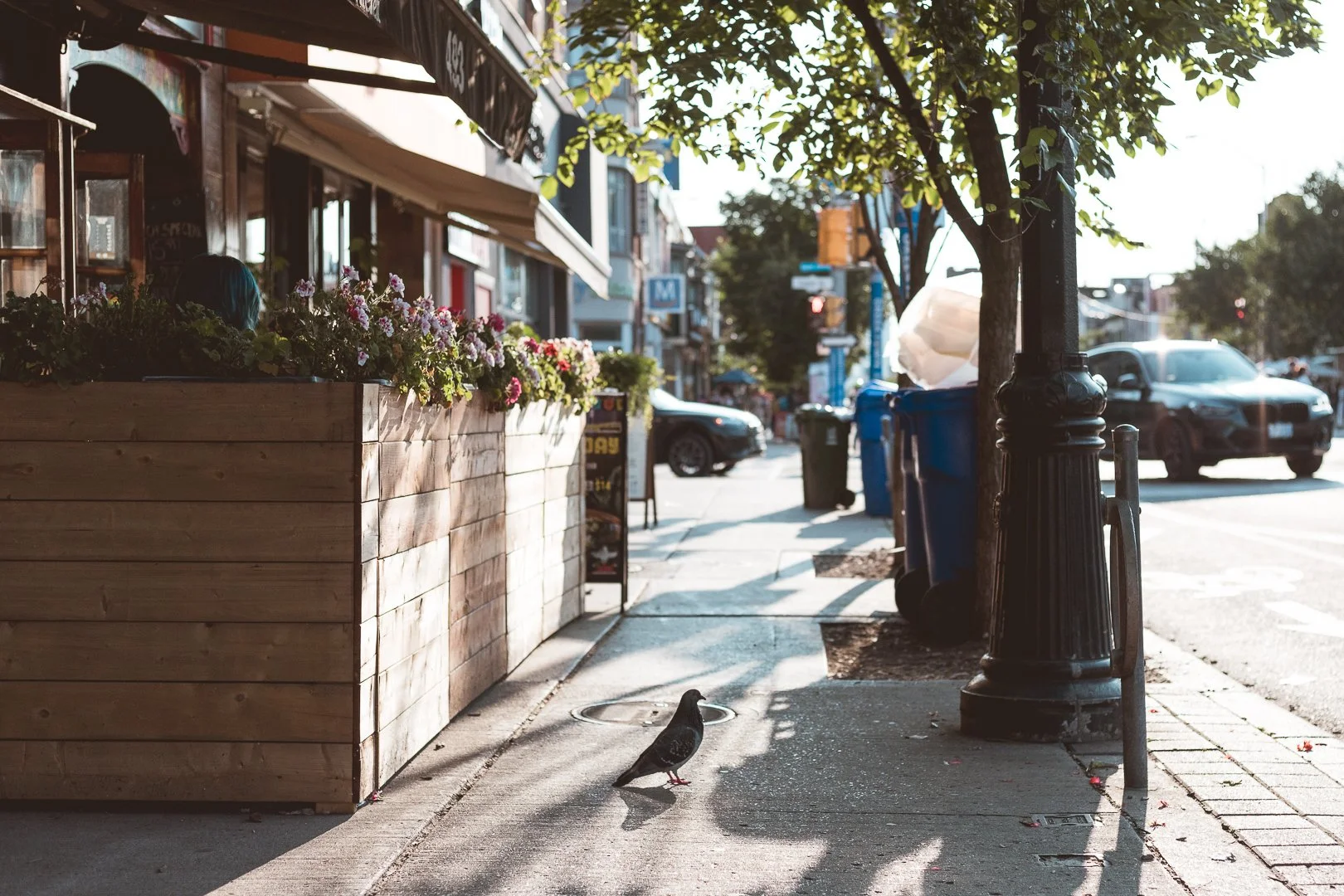 2024.09.08 - Two other dates-13.jpg