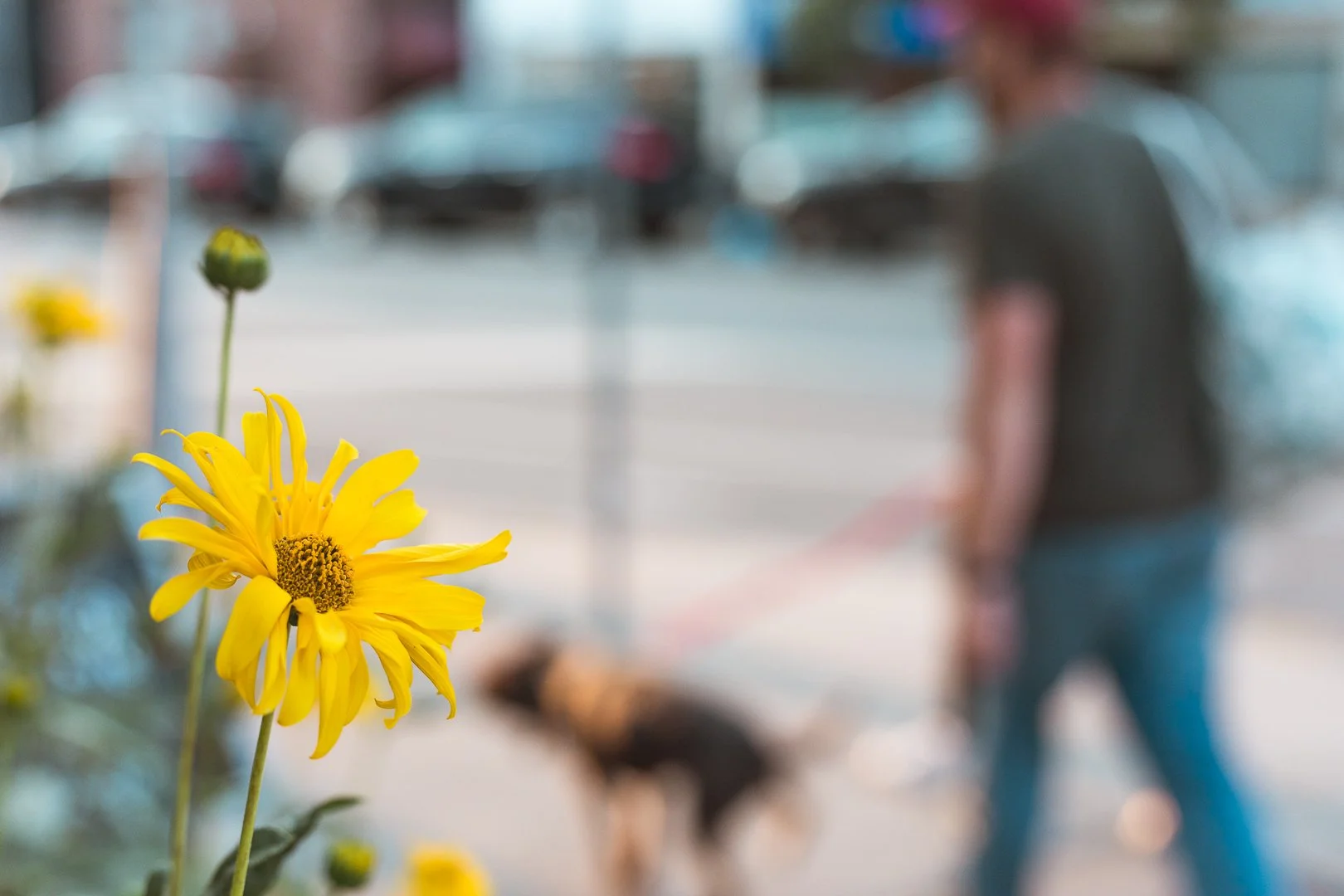 2024.09.08 - Two other dates-19.jpg