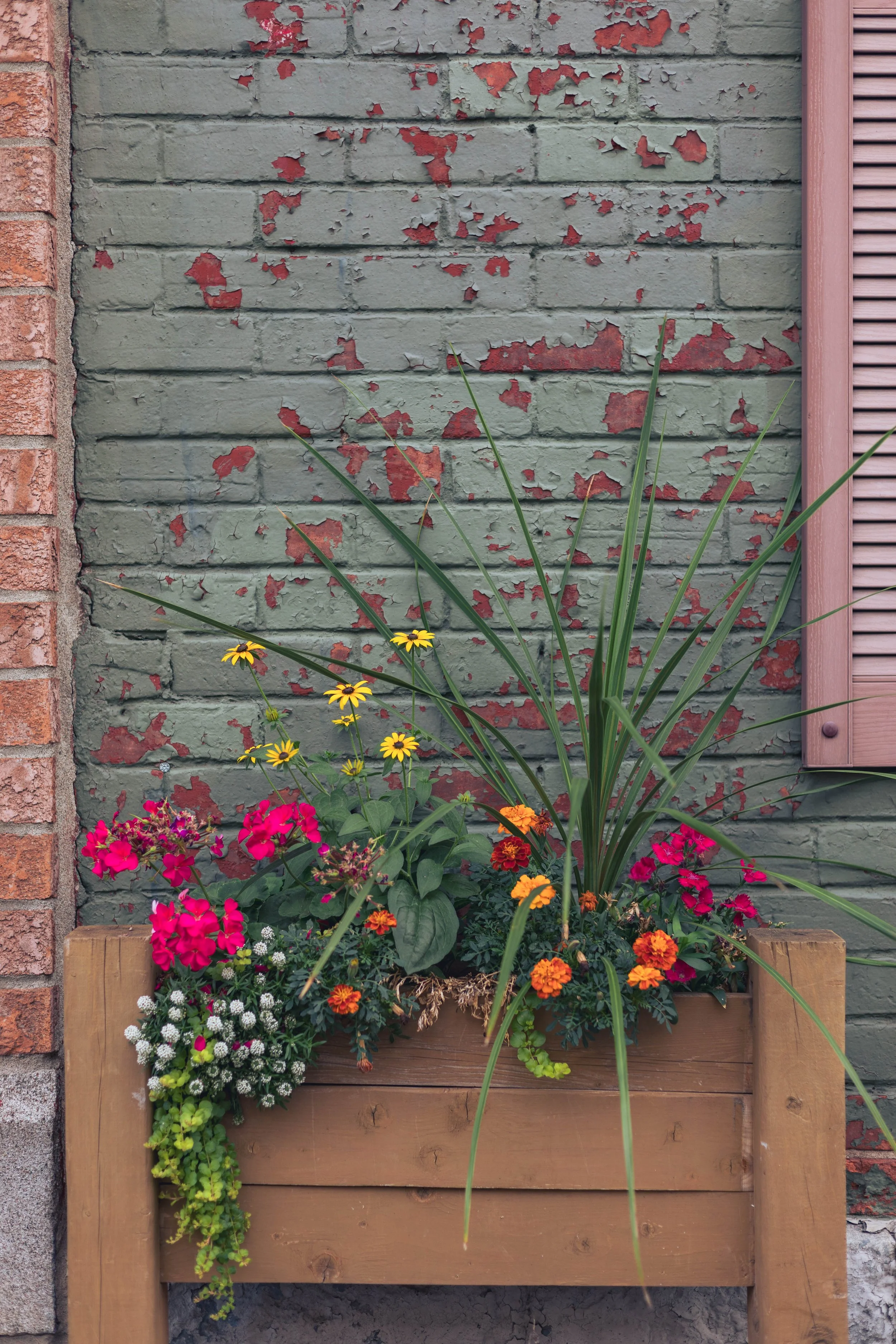 2024.09.26.28 - Montreal-5.jpg