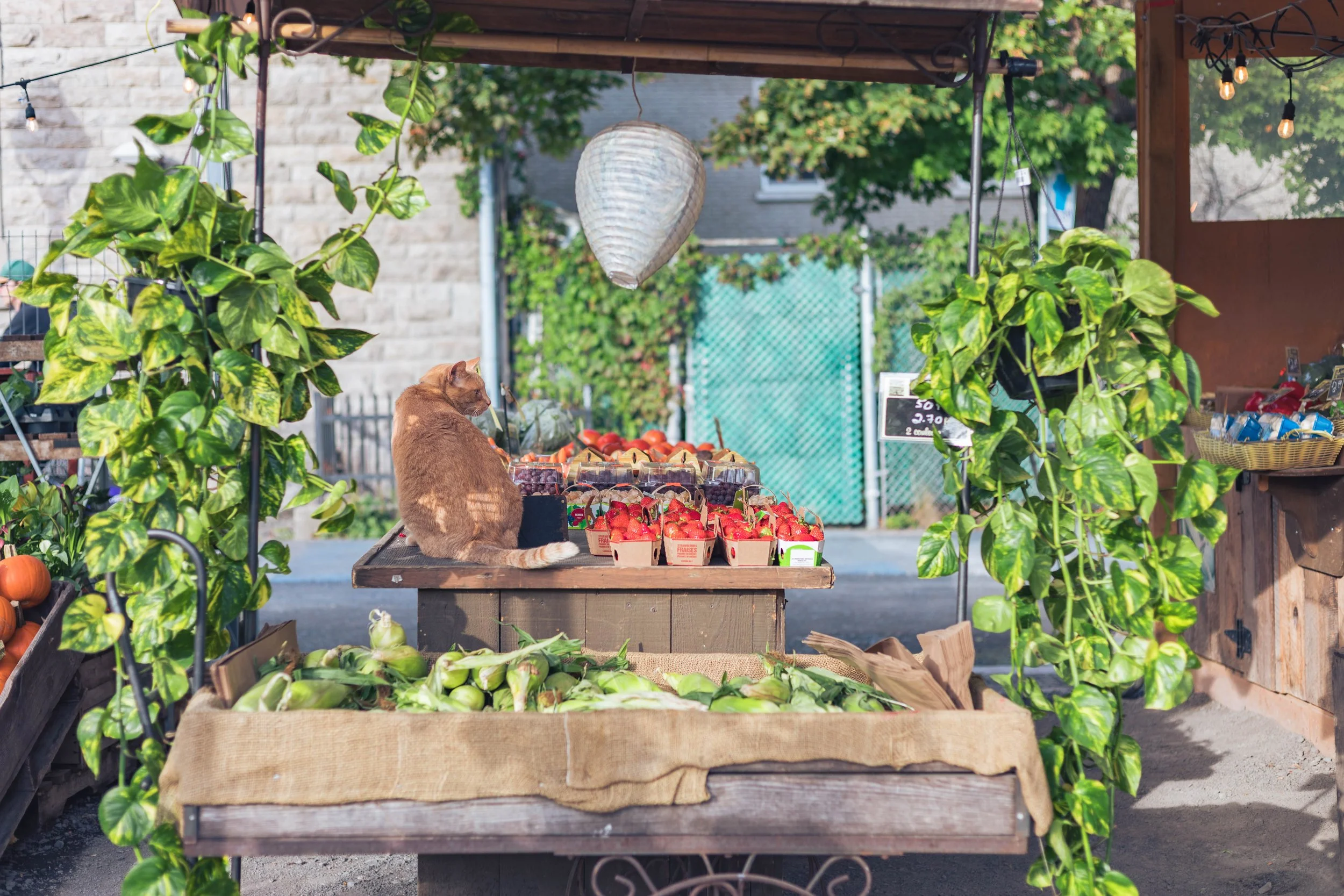 2024.09.26.28 - Montreal-7.jpg