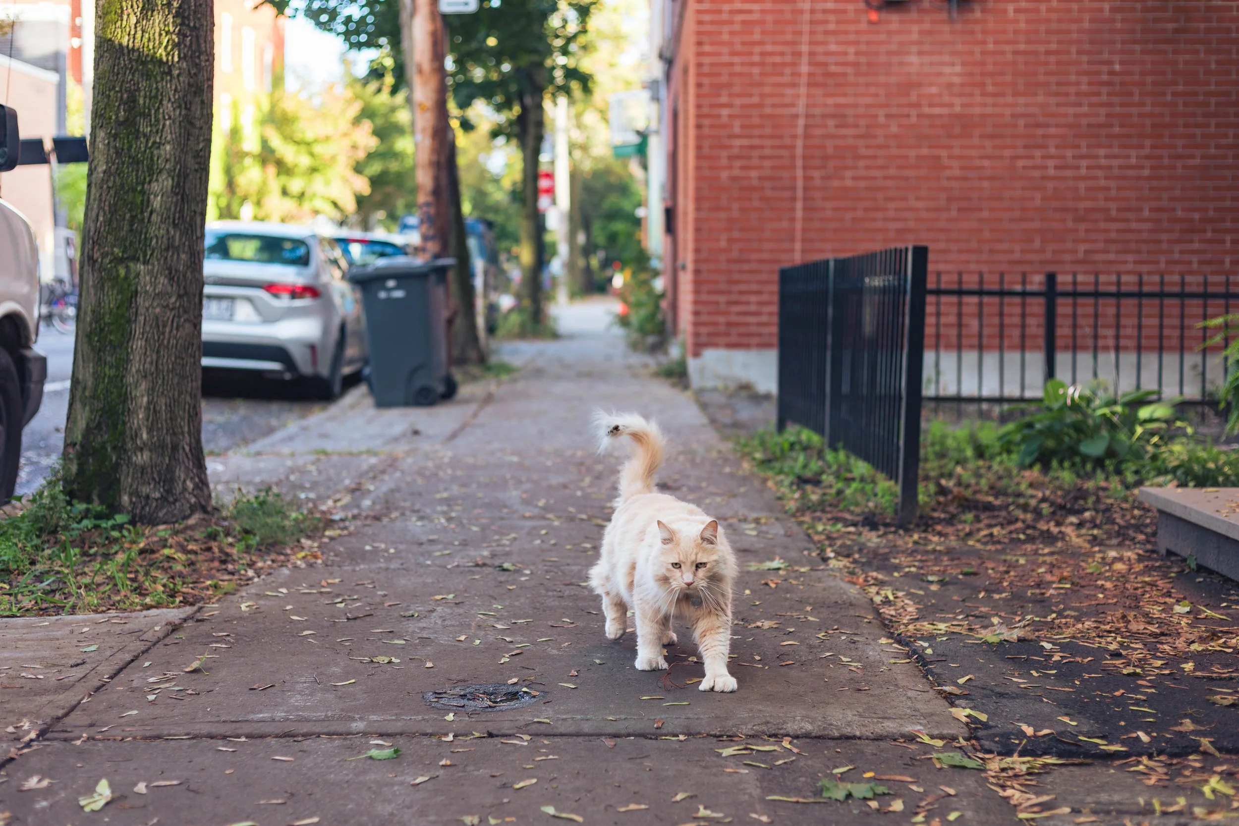 2024.09.26.28 - Montreal-8.jpg