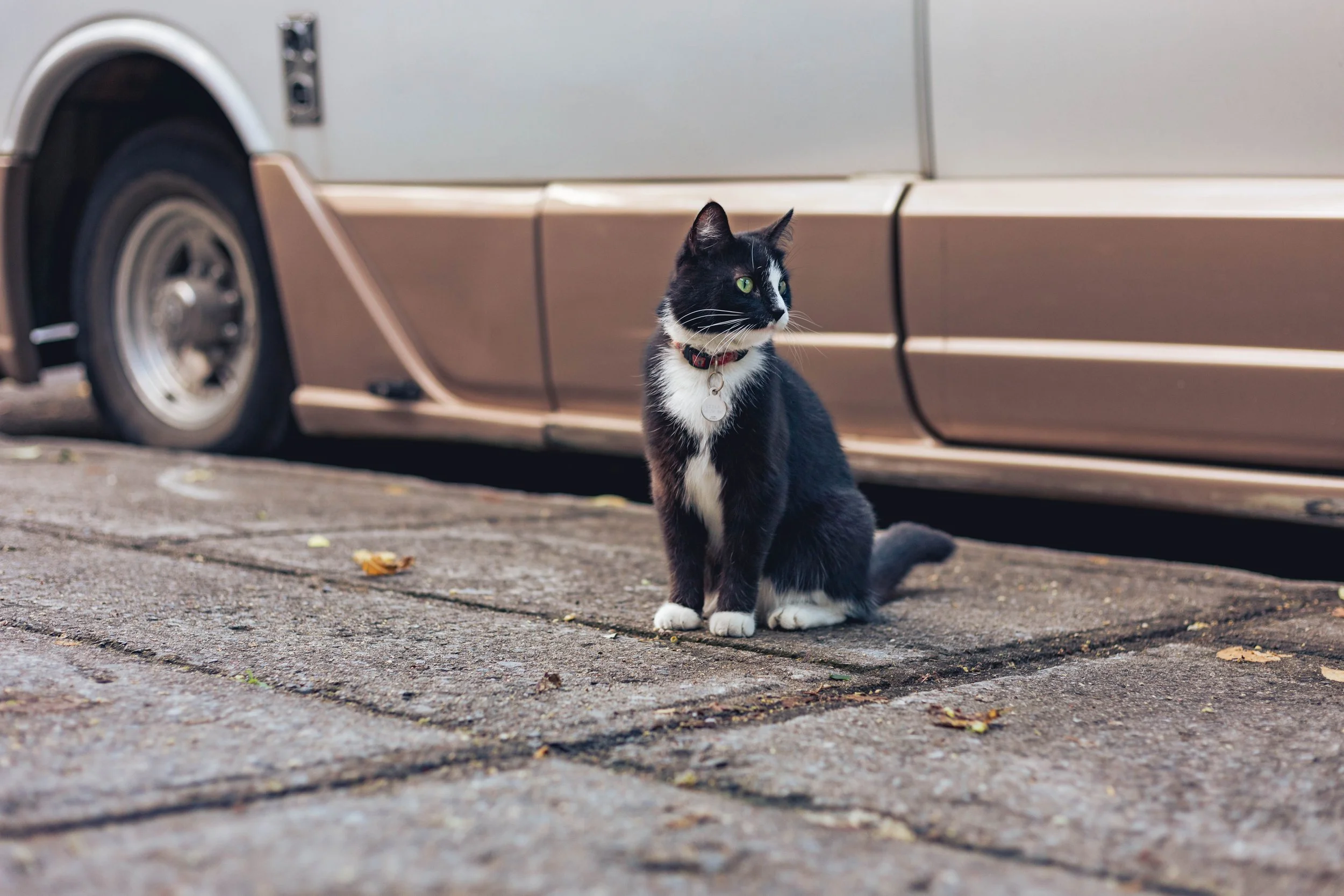 2024.09.26.28 - Montreal-9.jpg