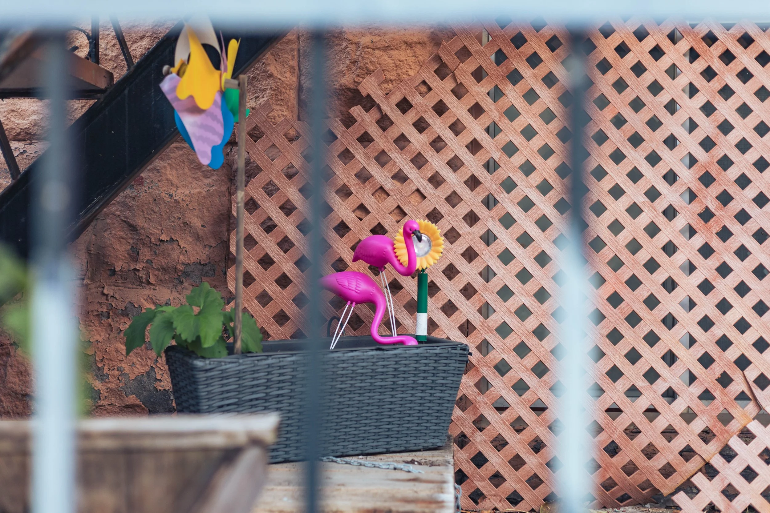 2024.09.26.28 - Montreal-17.jpg