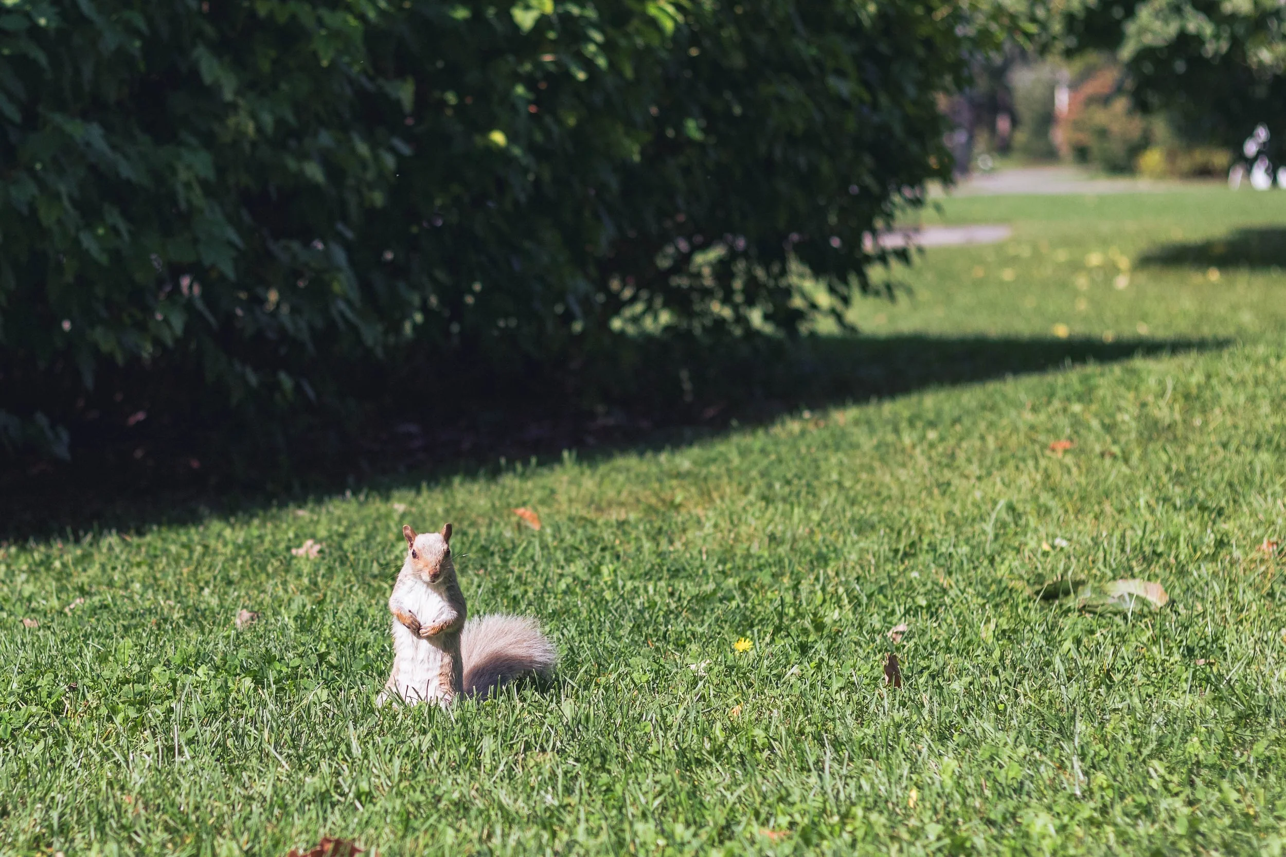 2024.09.26.28 - Montreal-53.jpg