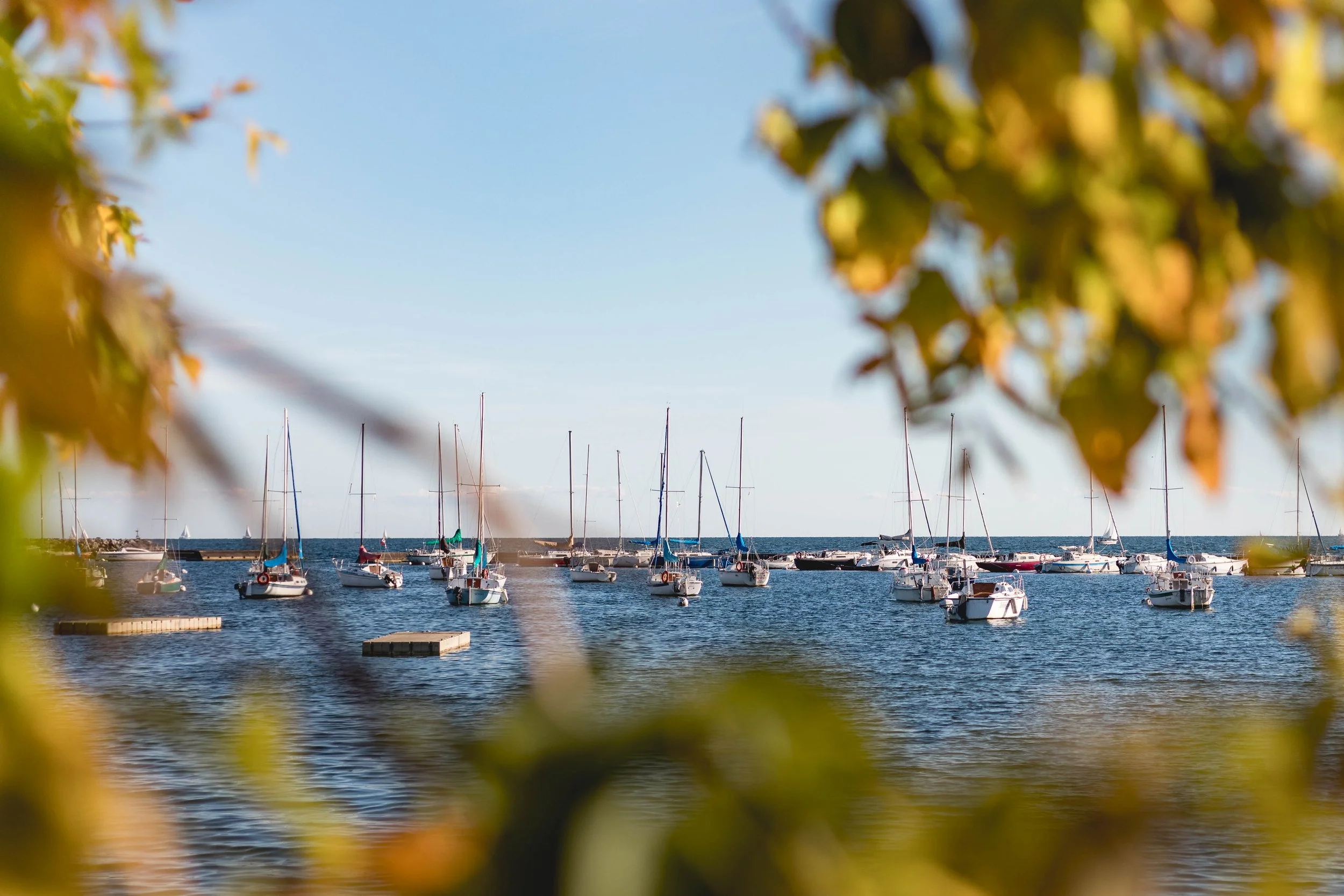 2024.10.05 - Katrina Bday-2.jpg