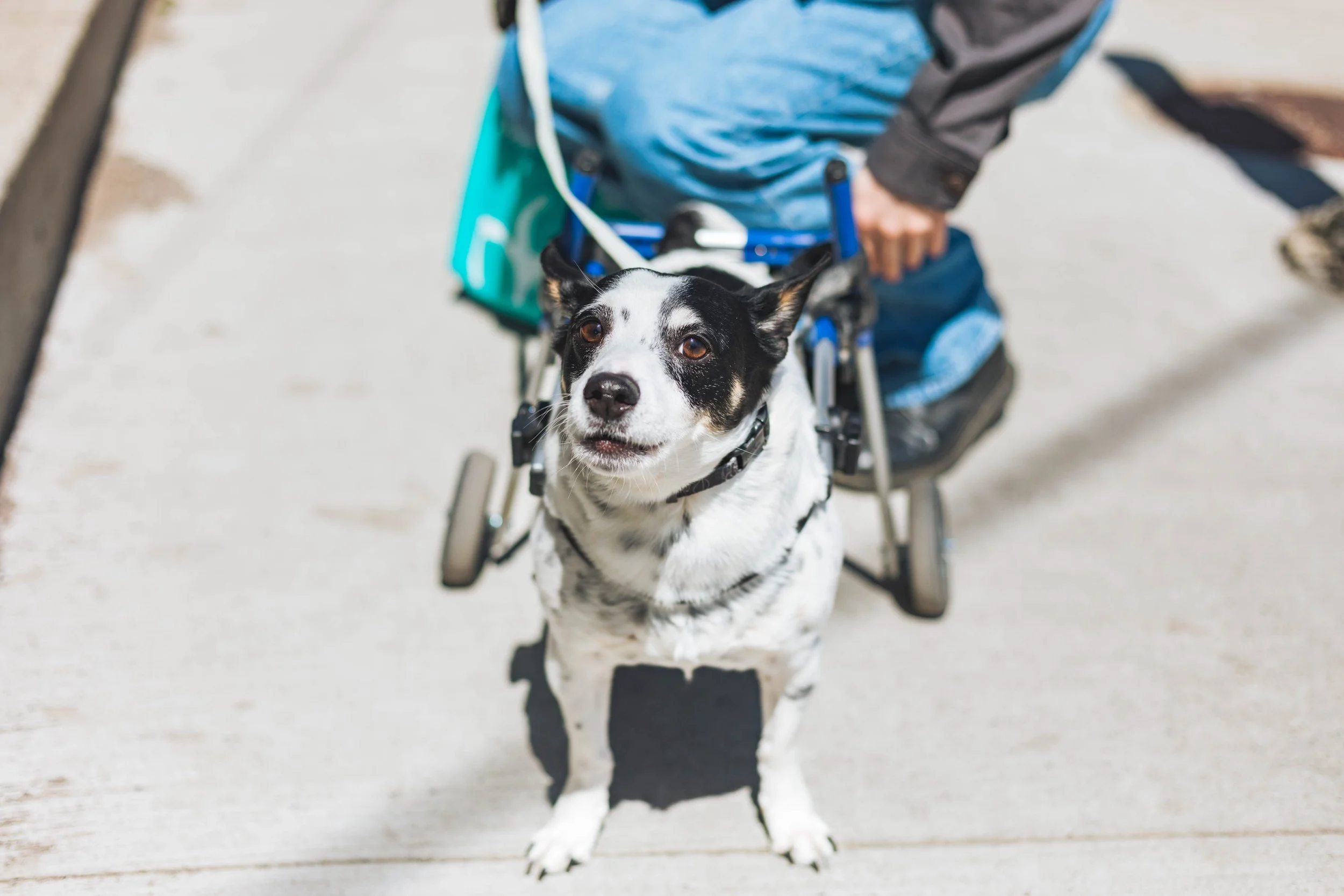 2025.05.17 - Some Spring Things-2.jpg