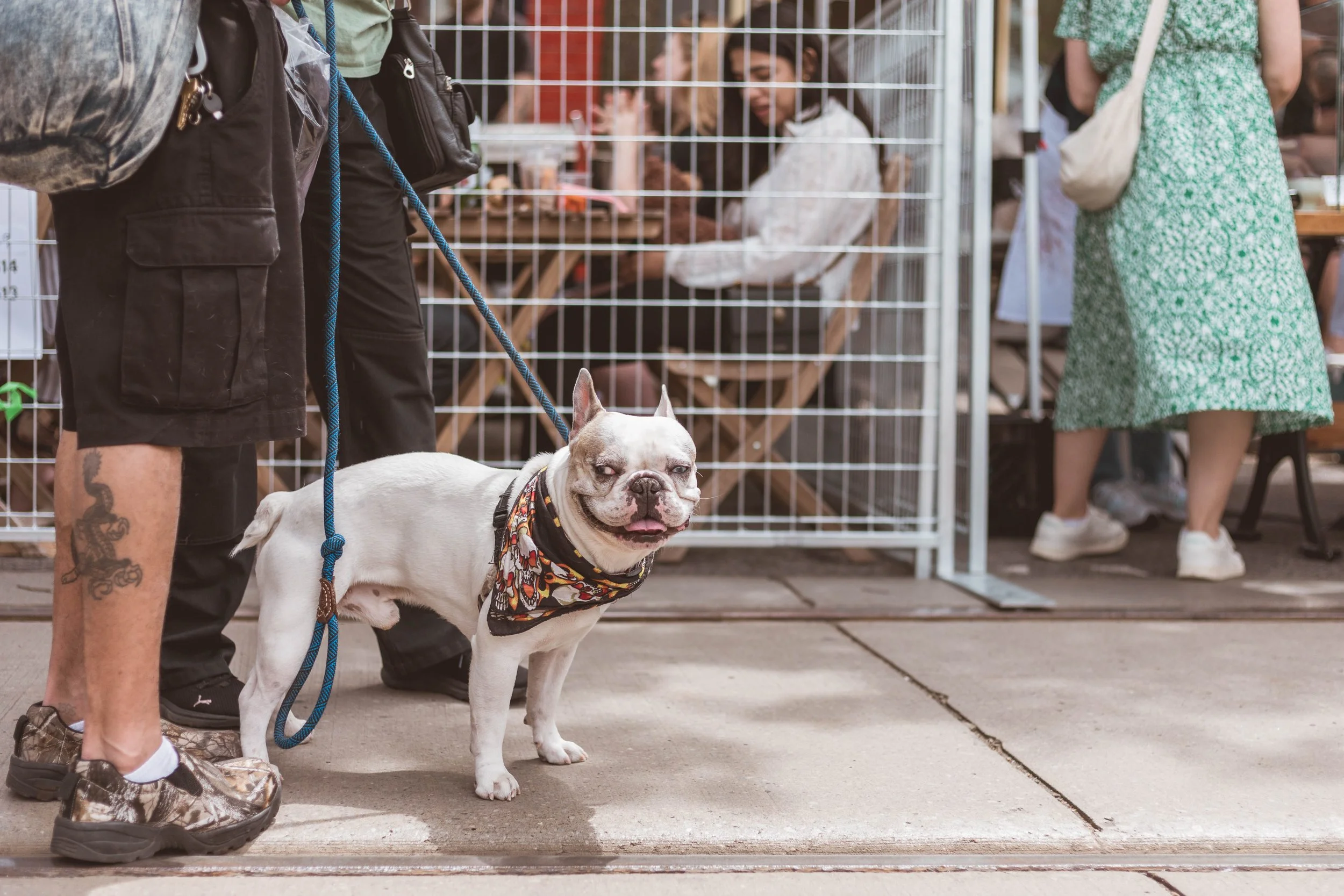 2024.06.08 - Do West Fest 2024-32.jpg