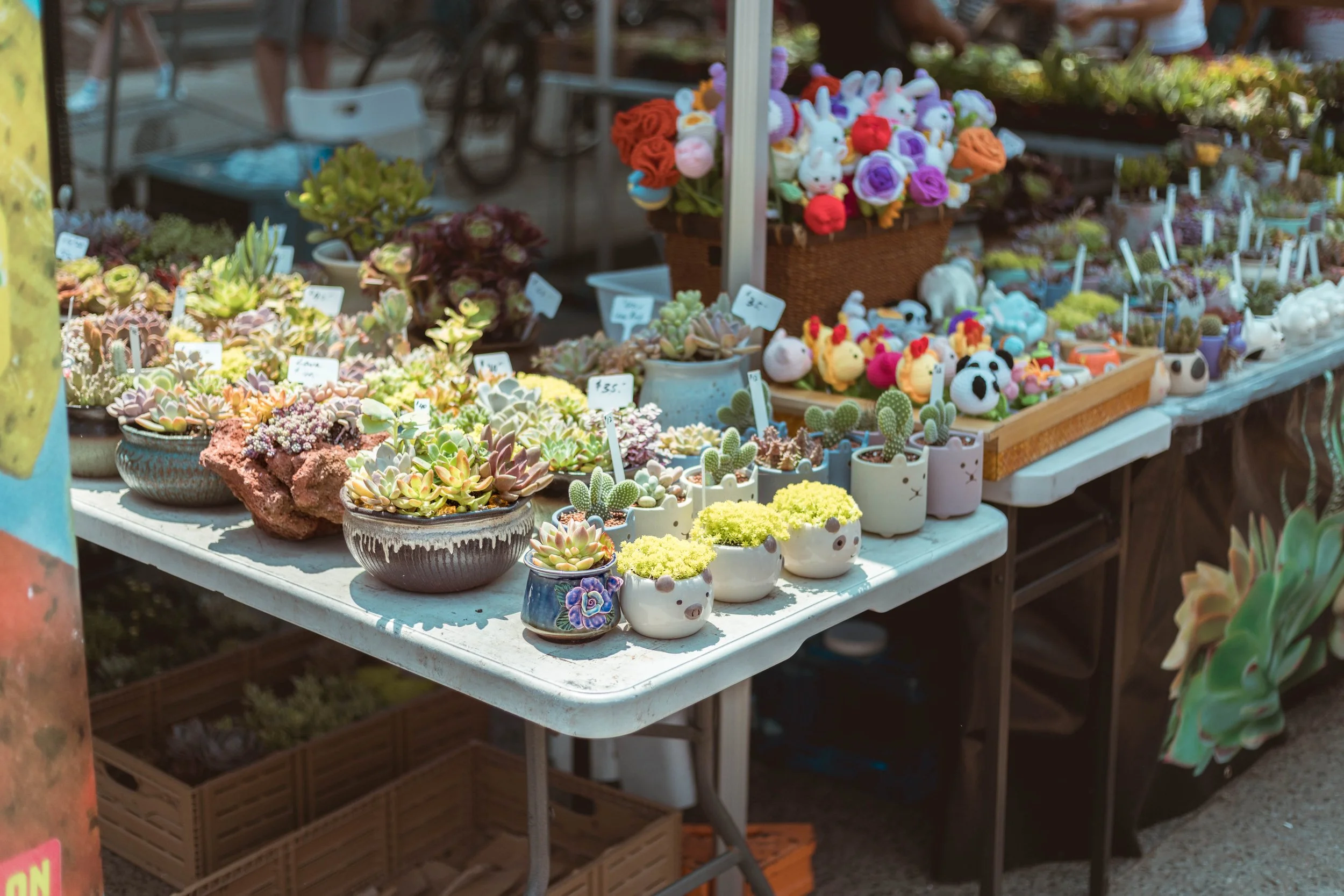 2025.06.07 - Do West Fest Plus 2025-7.jpg