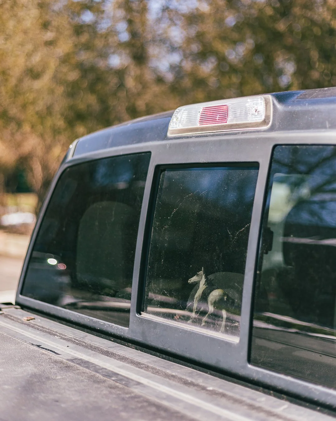 2024.03.31 - Trying-3.jpg