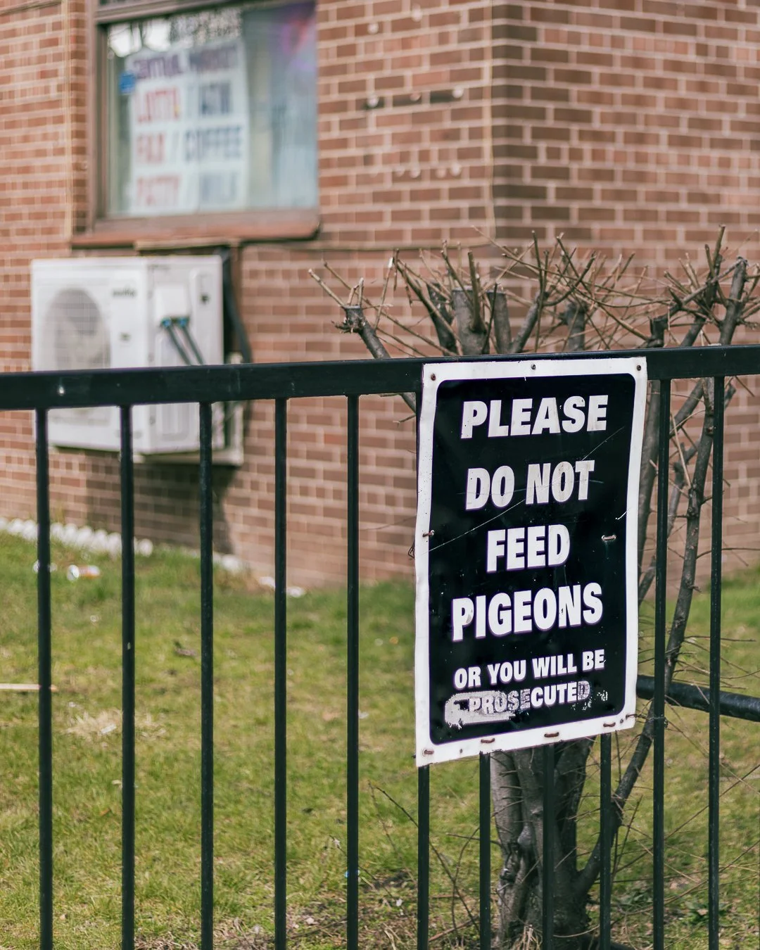 2024.03.31 - Trying-4.jpg