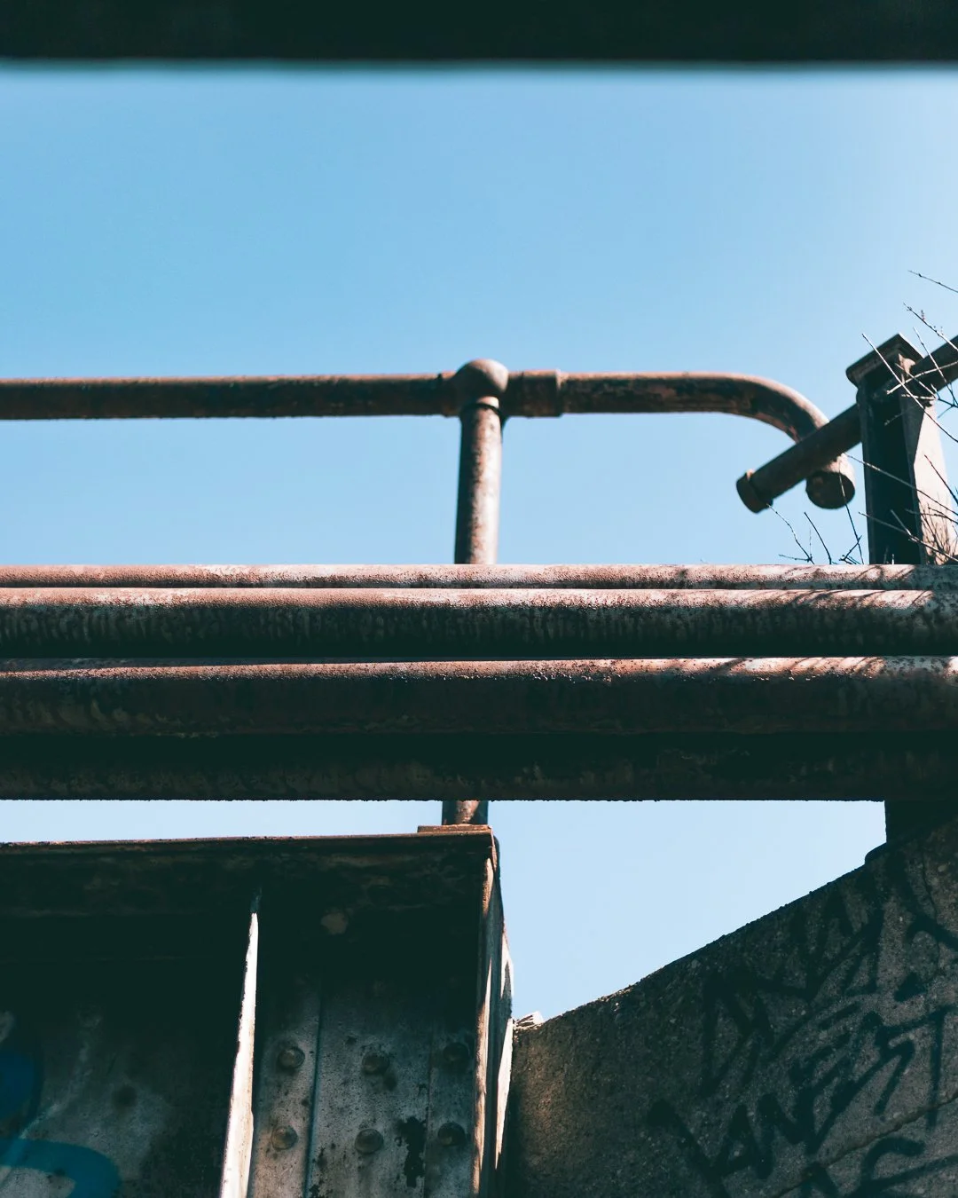 2024.04.07 - Sunday Stroll-2.jpg