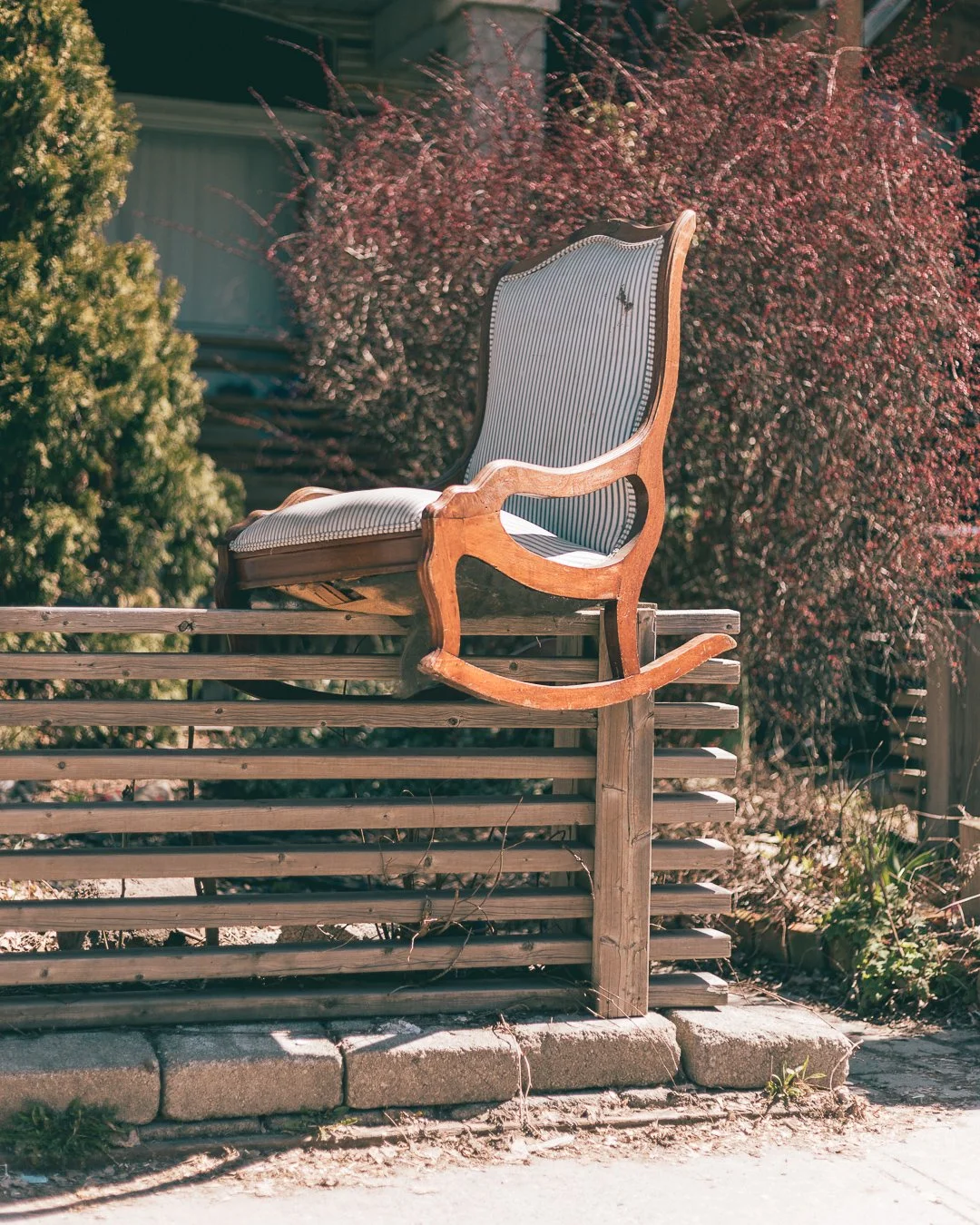 2024.04.07 - Sunday Stroll-7.jpg